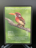 South Philippine Dwarf-Kingfisher — Birds Full Art #34/130 | LIFE TCG | 1st Edition (Pop: 600)