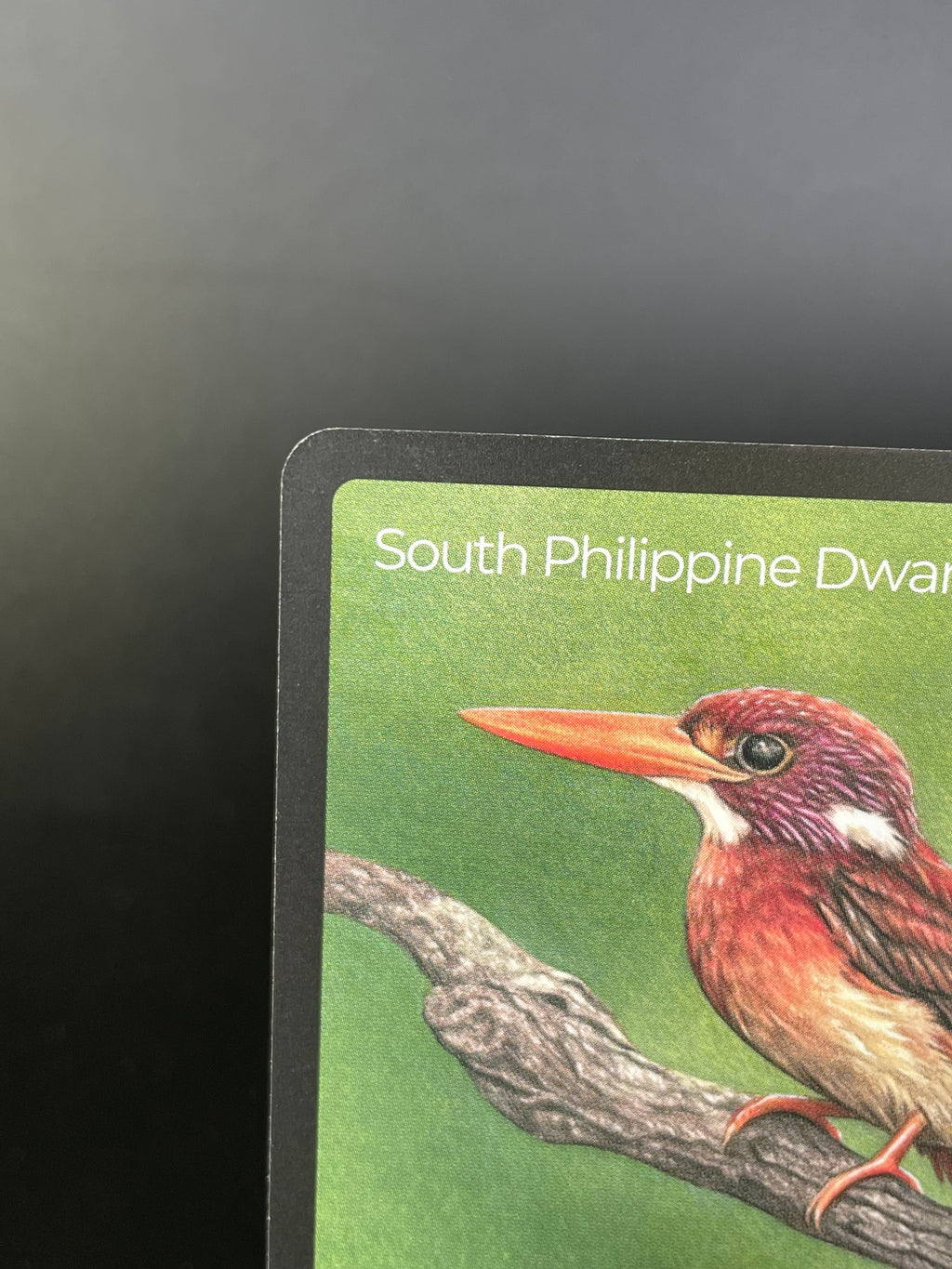 South Philippine Dwarf-Kingfisher — Birds Full Art #34/130 | LIFE TCG | 1st Edition (Pop: 600)