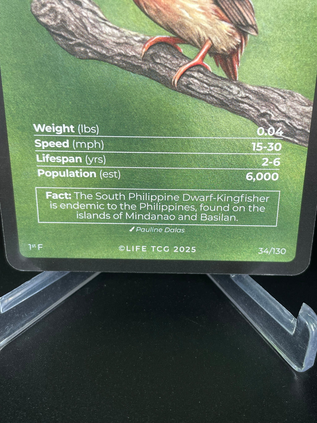 South Philippine Dwarf-Kingfisher — Birds Full Art #34/130 | LIFE TCG | 1st Edition (Pop: 600)