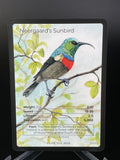 Neergaard's Sunbird — Birds Full Art #31/130 | LIFE TCG | 1st Edition (Pop: 500)