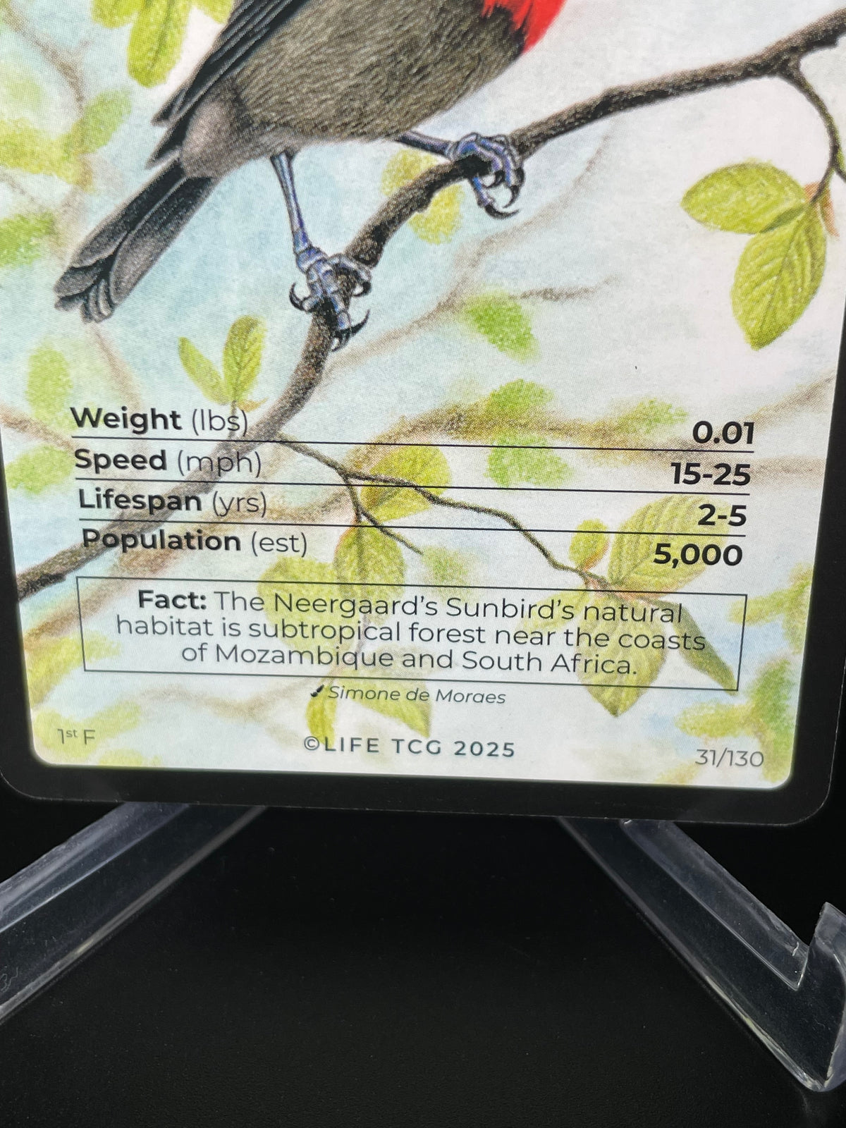 Neergaard's Sunbird — Birds Full Art #31/130 | LIFE TCG | 1st Edition (Pop: 500)