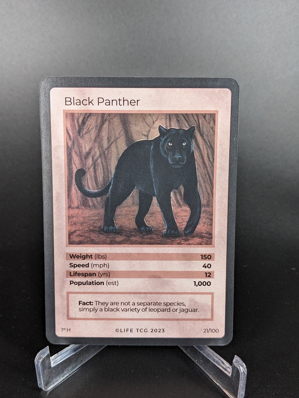 Black Panther — Mammals Holo #21/100 | LIFE TCG | 1st Edition (Pop: 1,000)