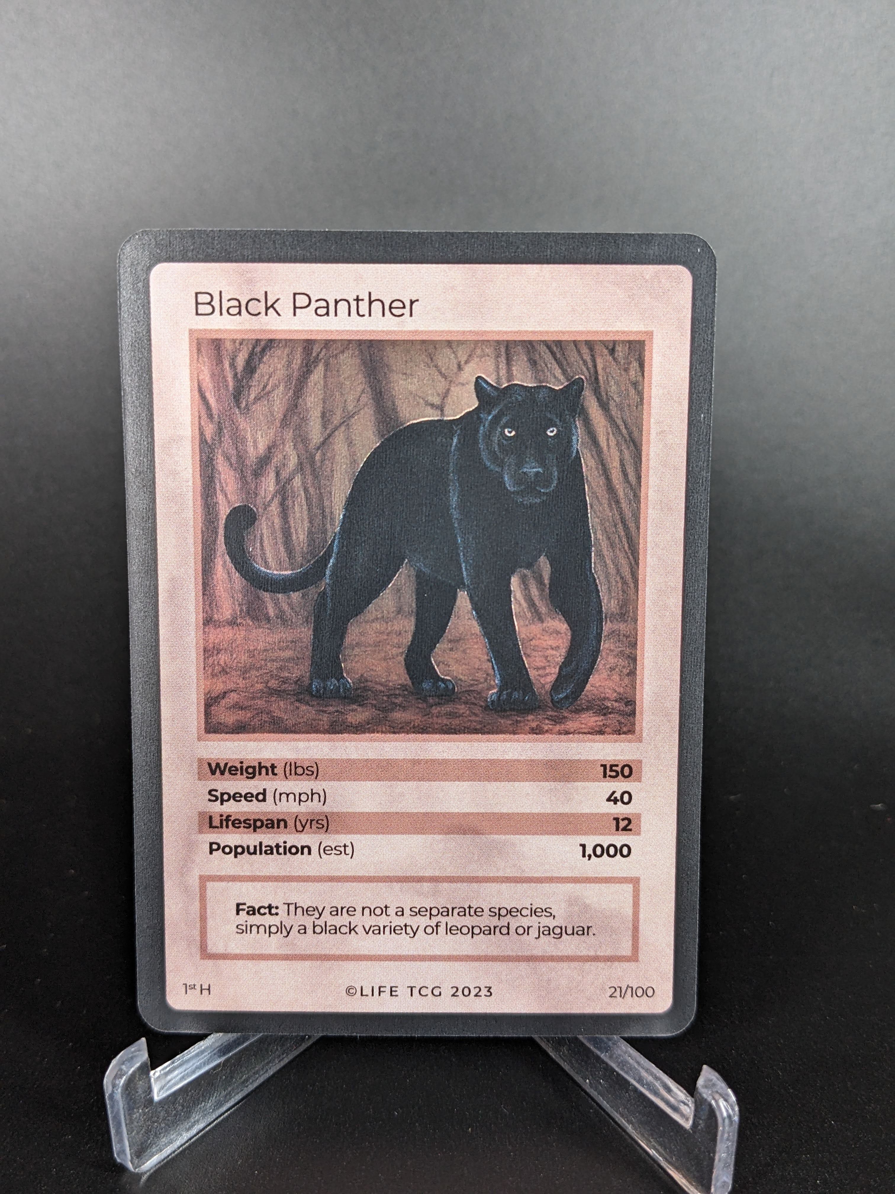 Black Panther — Mammals Holo #21/100 | LIFE TCG | 1st Edition (Pop: 1,000)