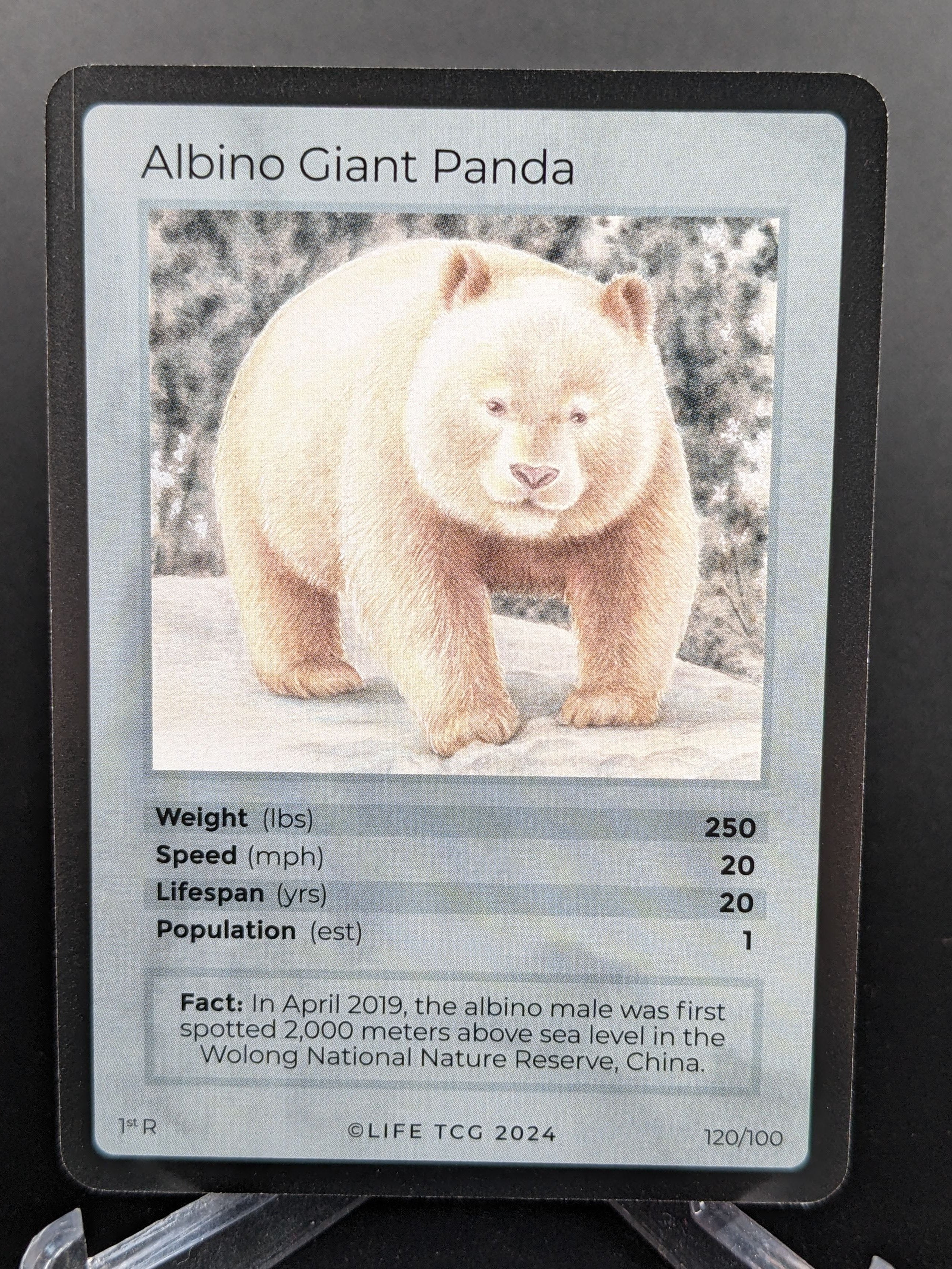 Card featuring an albino giant panda with details on a dark background
