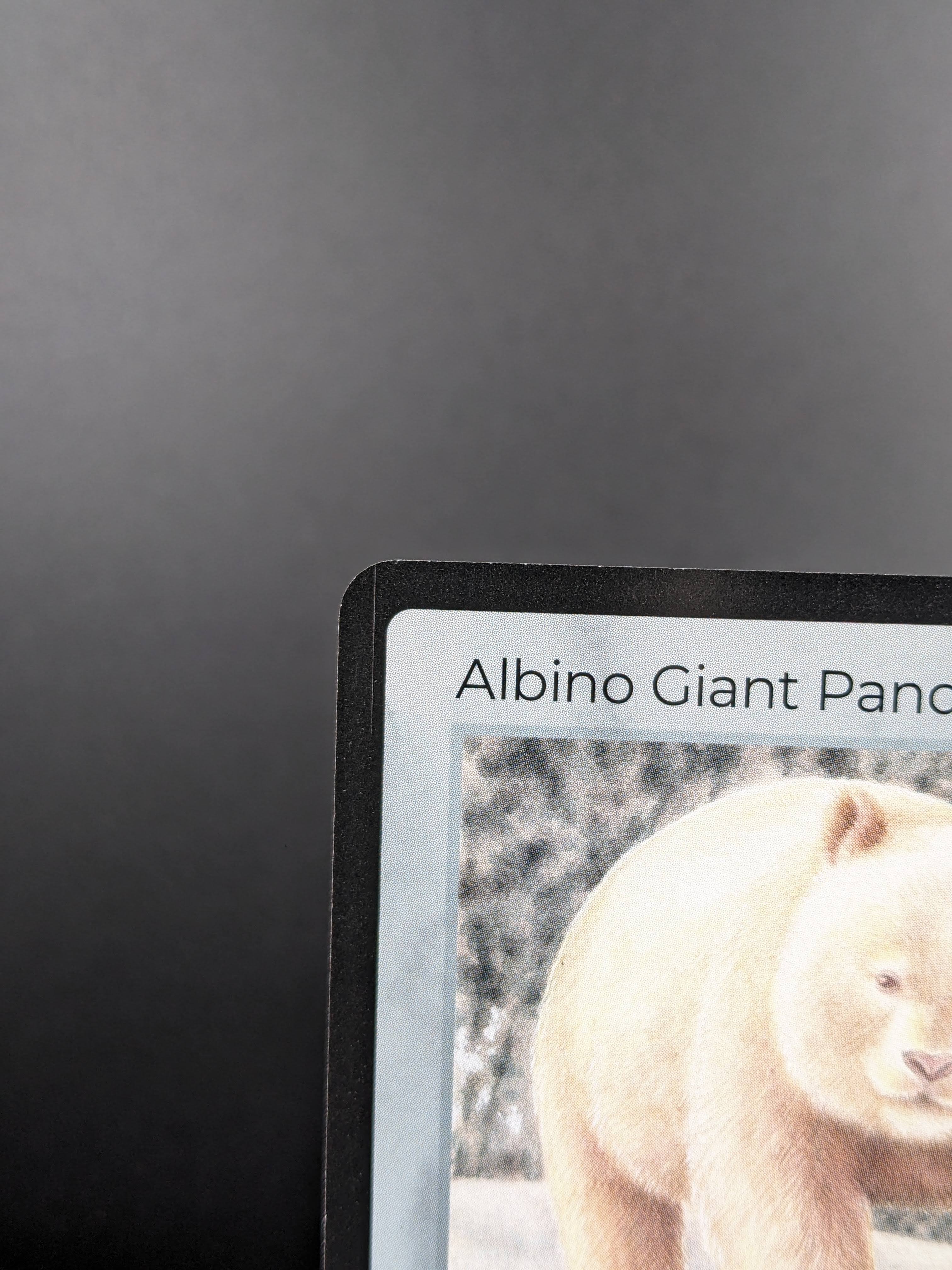 Albino Giant Panda — Mammals Rare #120/100 | LIFE TCG | 1st Edition (Pop: 1,000)