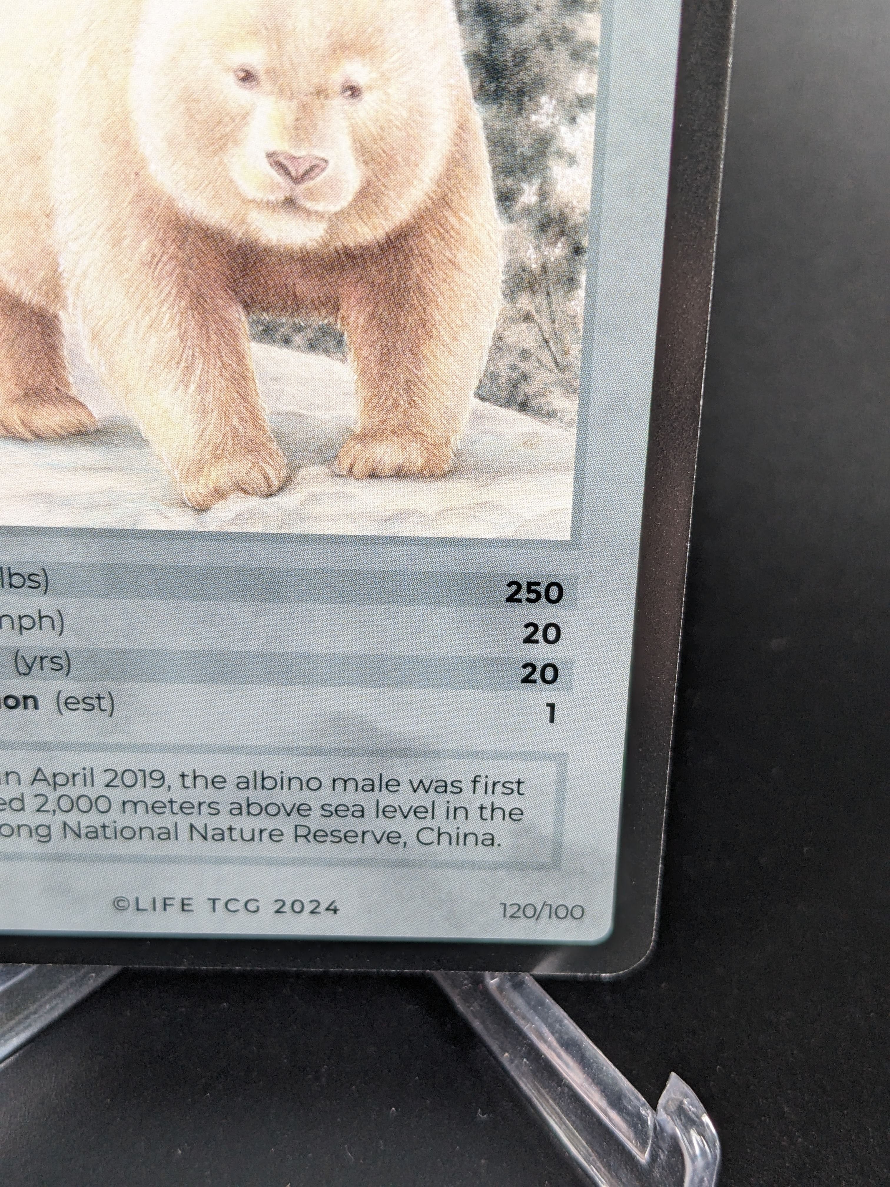 Albino Giant Panda — Mammals Rare #120/100 | LIFE TCG | 1st Edition (Pop: 1,000)