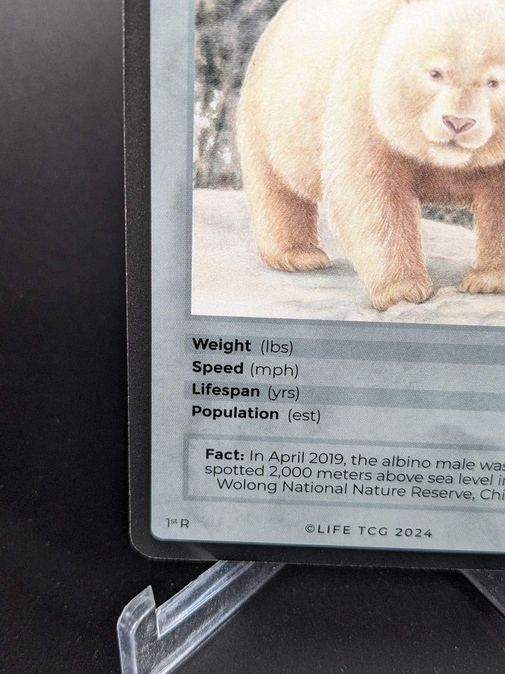 Albino Giant Panda — Mammals Rare #120/100 | LIFE TCG | 1st Edition (Pop: 1,000)
