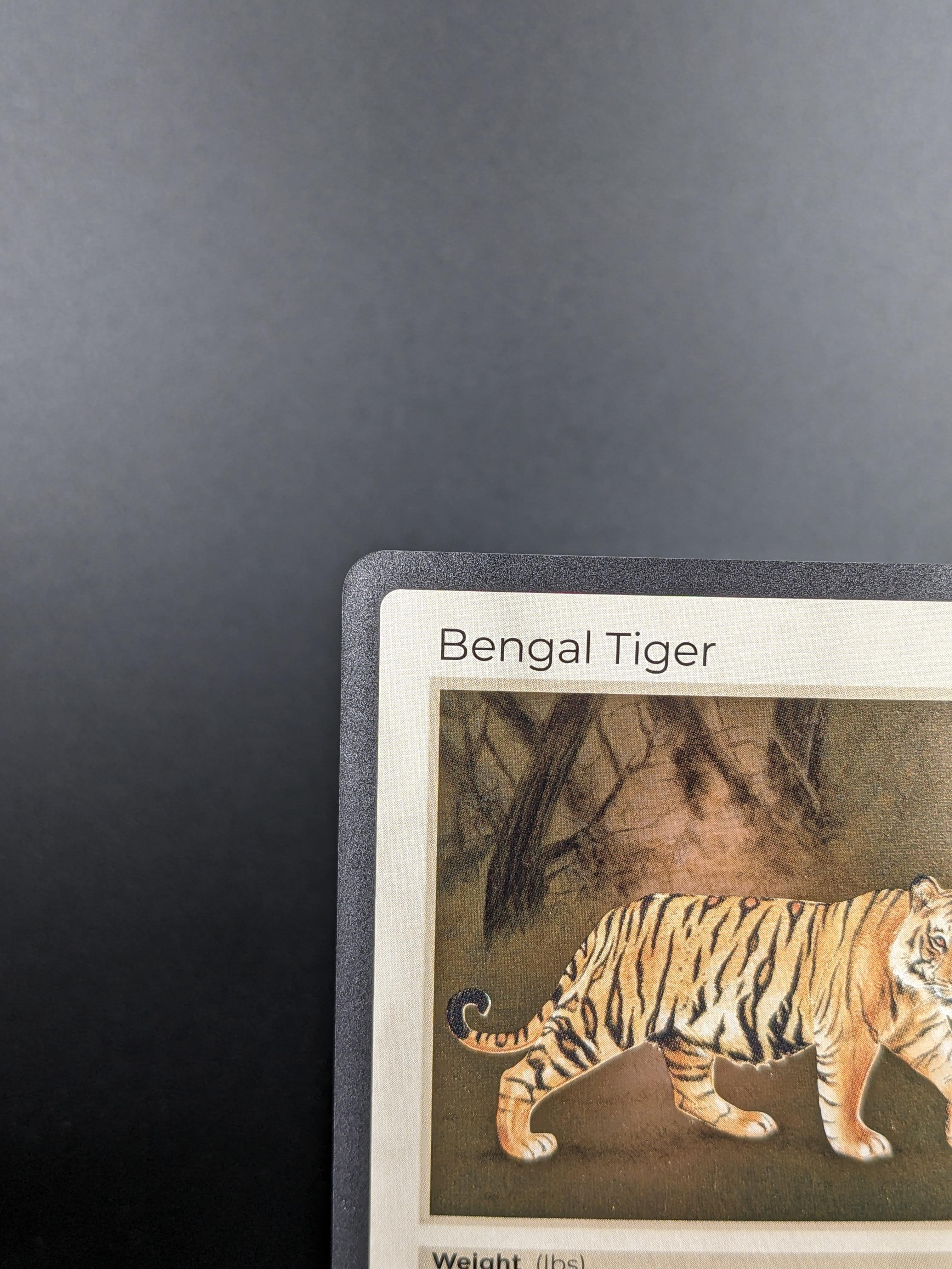 Bengal Tiger — Mammals Holo #25/100 | LIFE TCG | 1st Edition (Pop: 3,500)