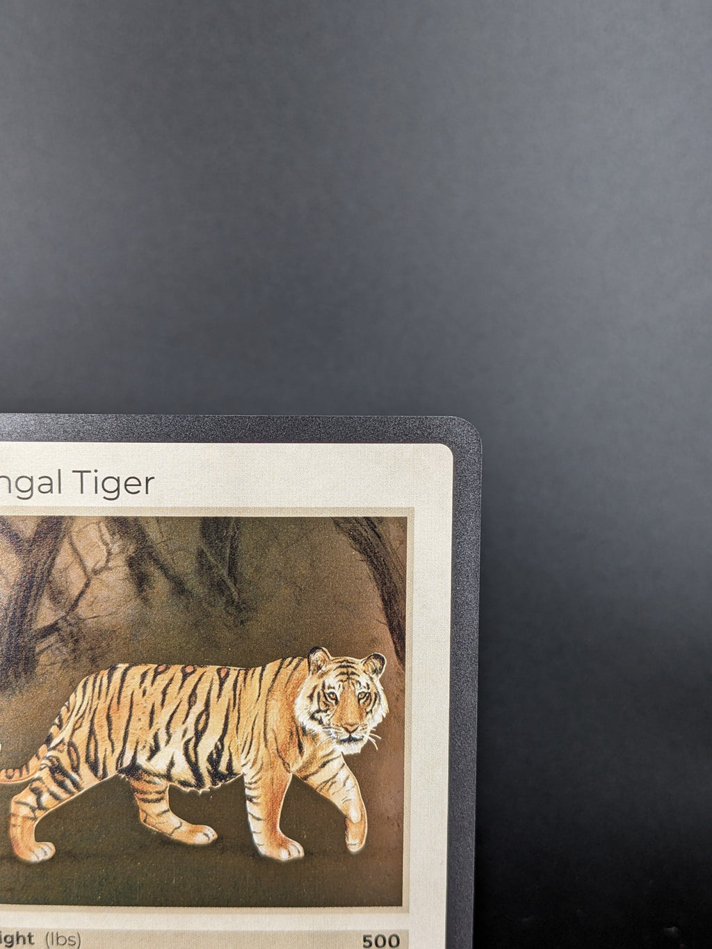 Bengal Tiger — Mammals Holo #25/100 | LIFE TCG | 1st Edition (Pop: 3,500)