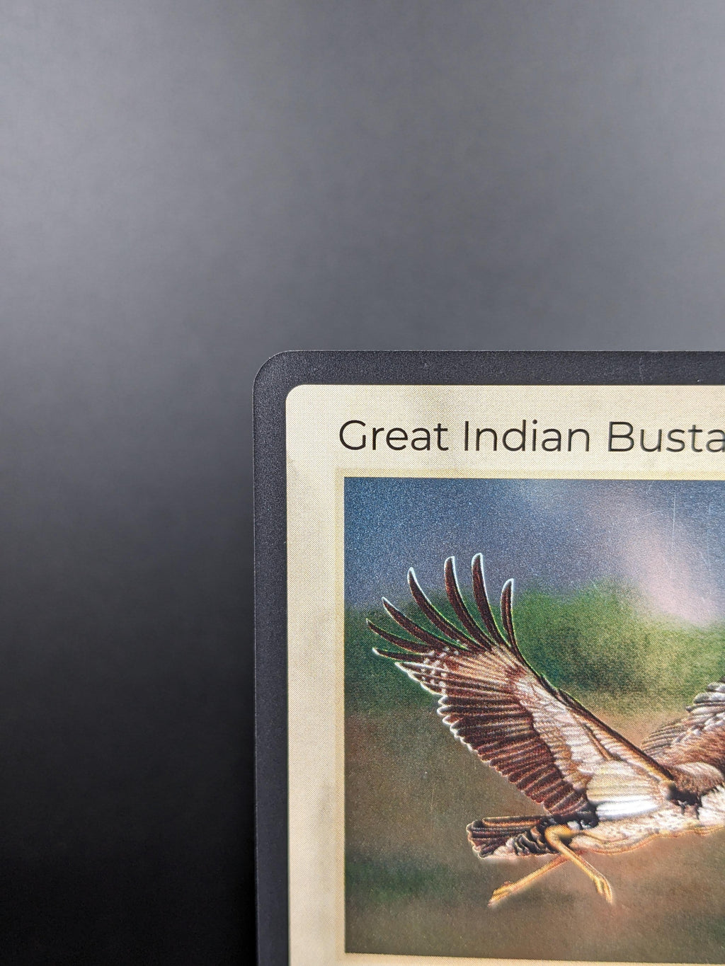 Great Indian Bustard — Birds Holo #11/130 | LIFE TCG | 1st Edition (Pop: 200)