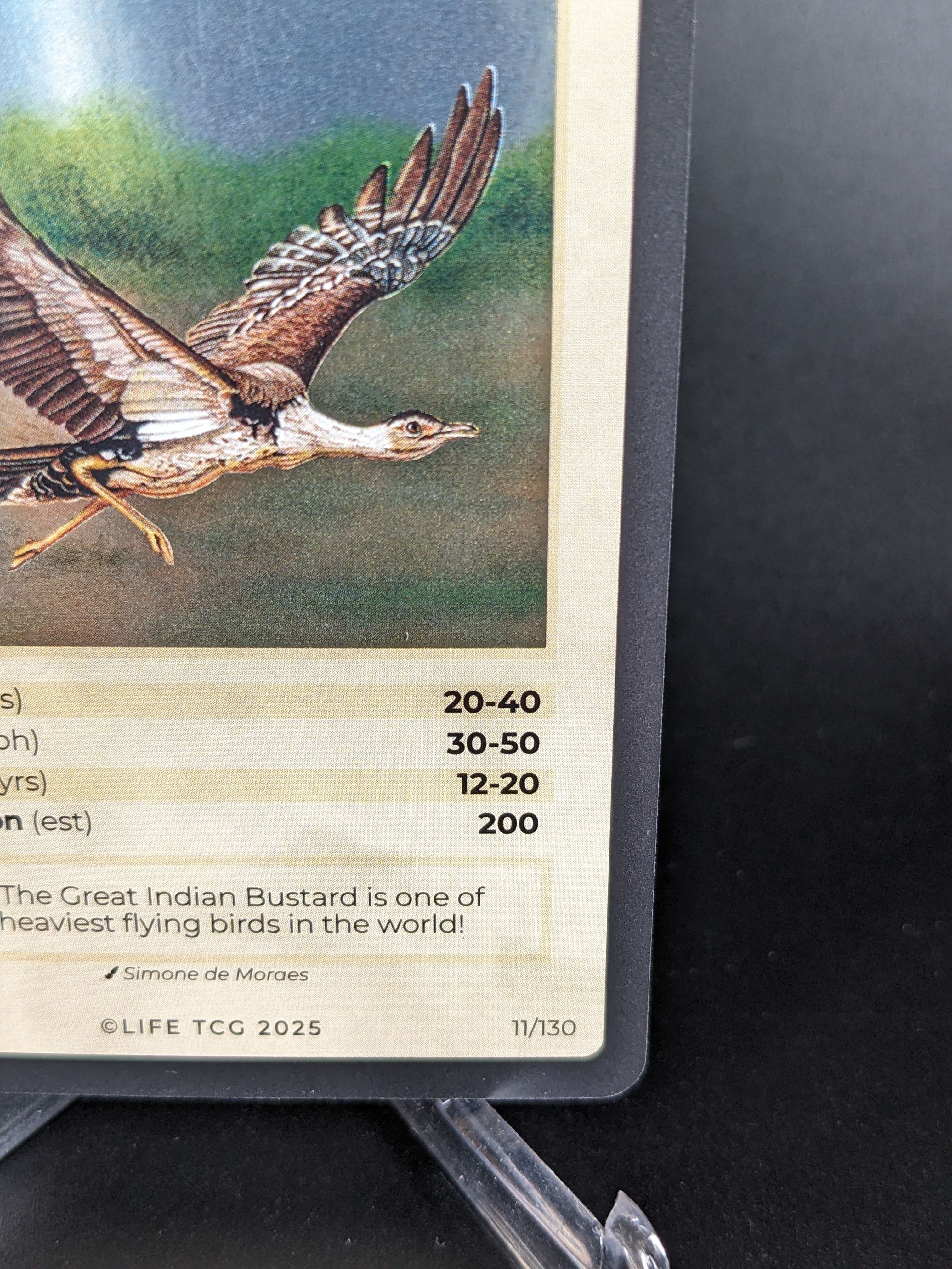 Great Indian Bustard — Birds Holo #11/130 | LIFE TCG | 1st Edition (Pop: 200)