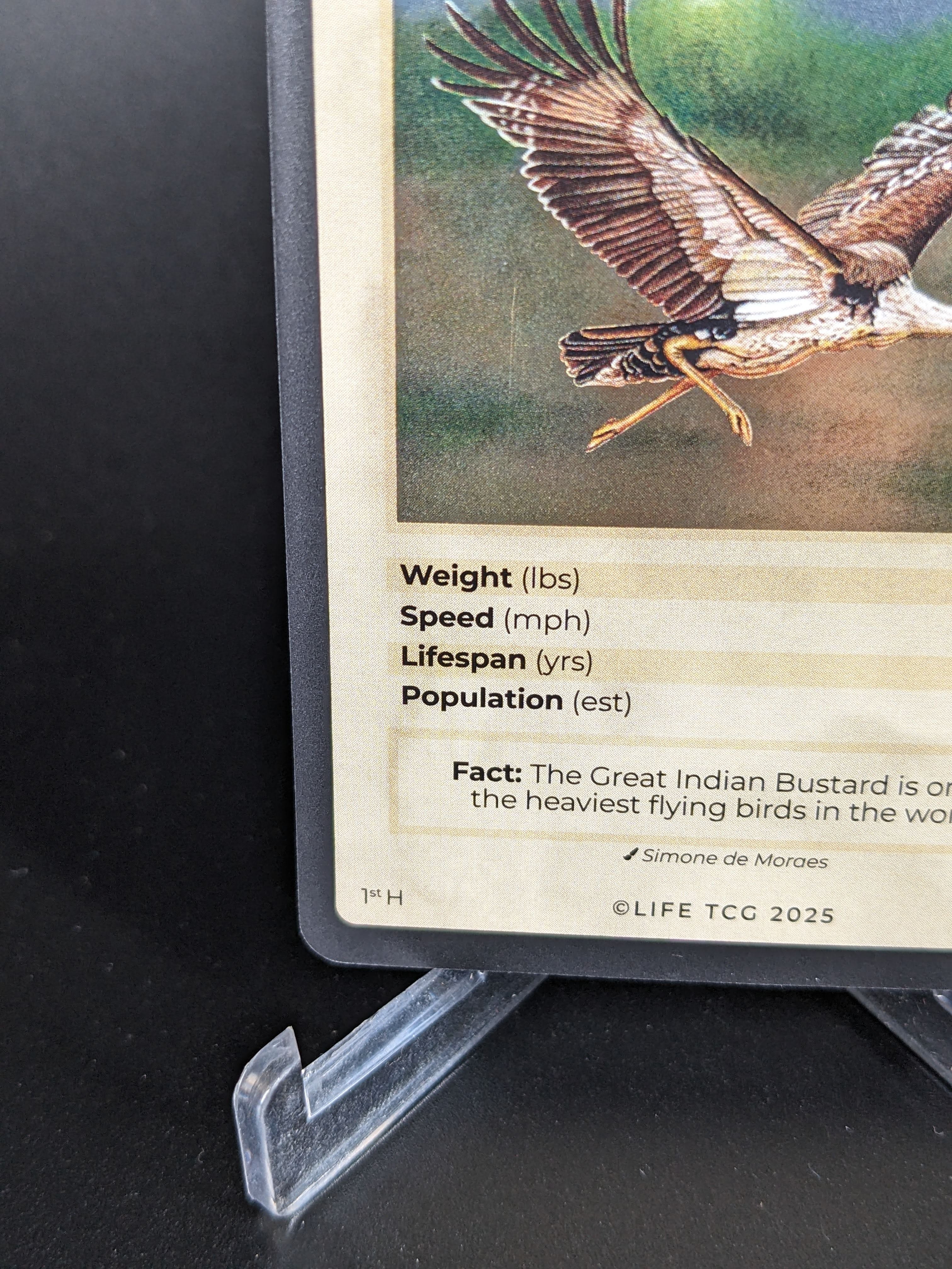 Great Indian Bustard — Birds Holo #11/130 | LIFE TCG | 1st Edition (Pop: 200)