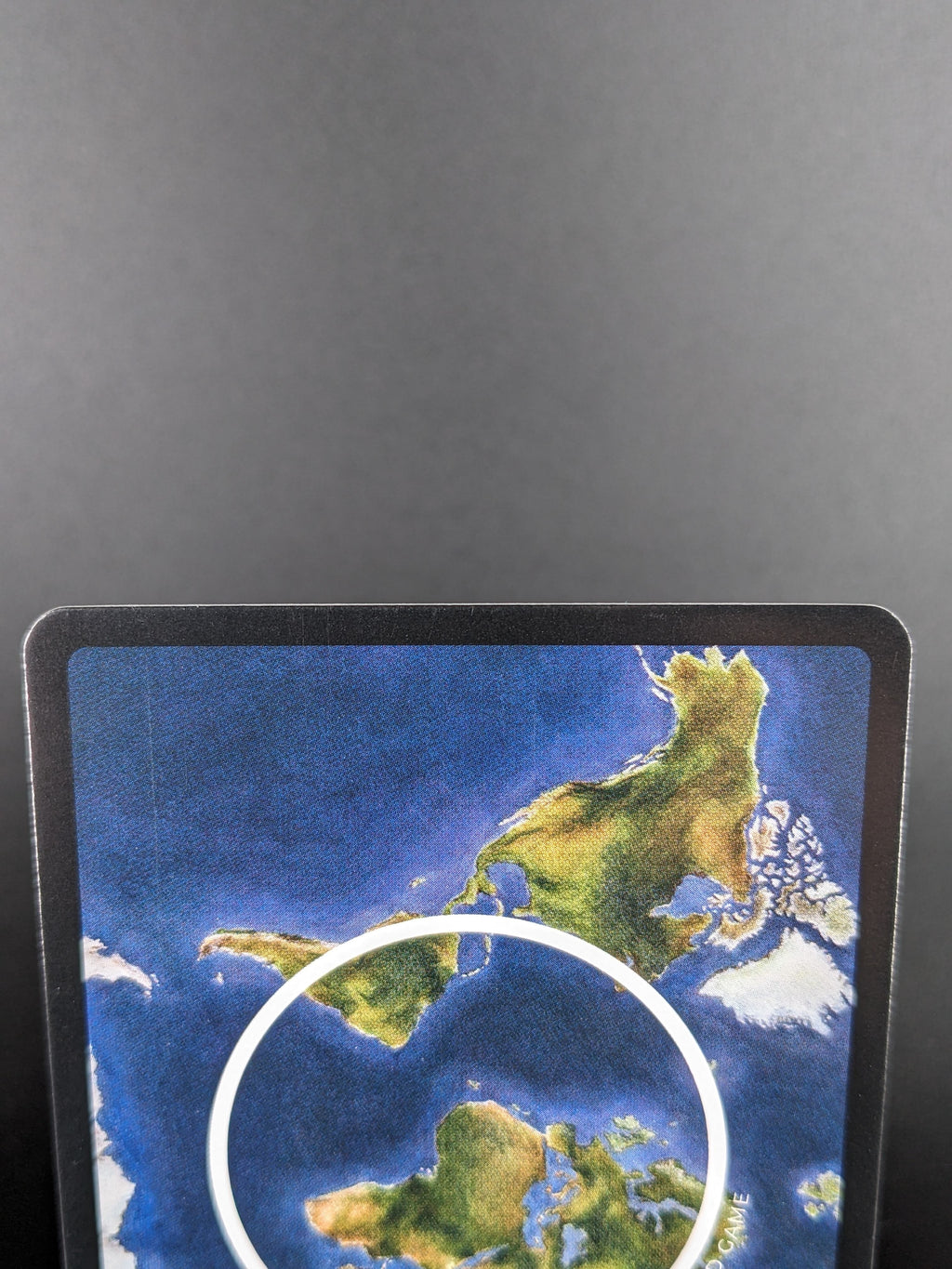 Great Indian Bustard — Birds Holo #11/130 | LIFE TCG | 1st Edition (Pop: 200)