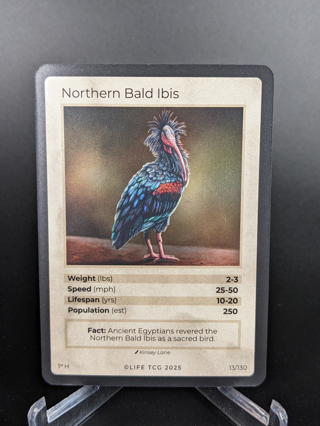 Northern Bald Ibis — Birds Holo #13/130 | LIFE TCG | 1st Edition (Pop: 250)