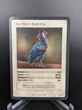 Northern Bald Ibis — Birds Holo #13/130 | LIFE TCG | 1st Edition (Pop: 250)