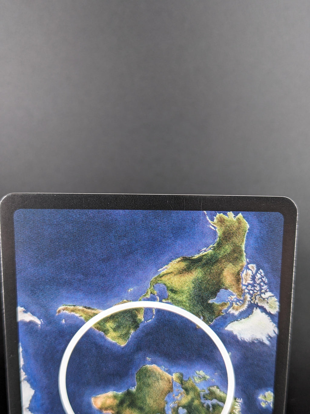 Northern Bald Ibis — Birds Holo #13/130 | LIFE TCG | 1st Edition (Pop: 250)