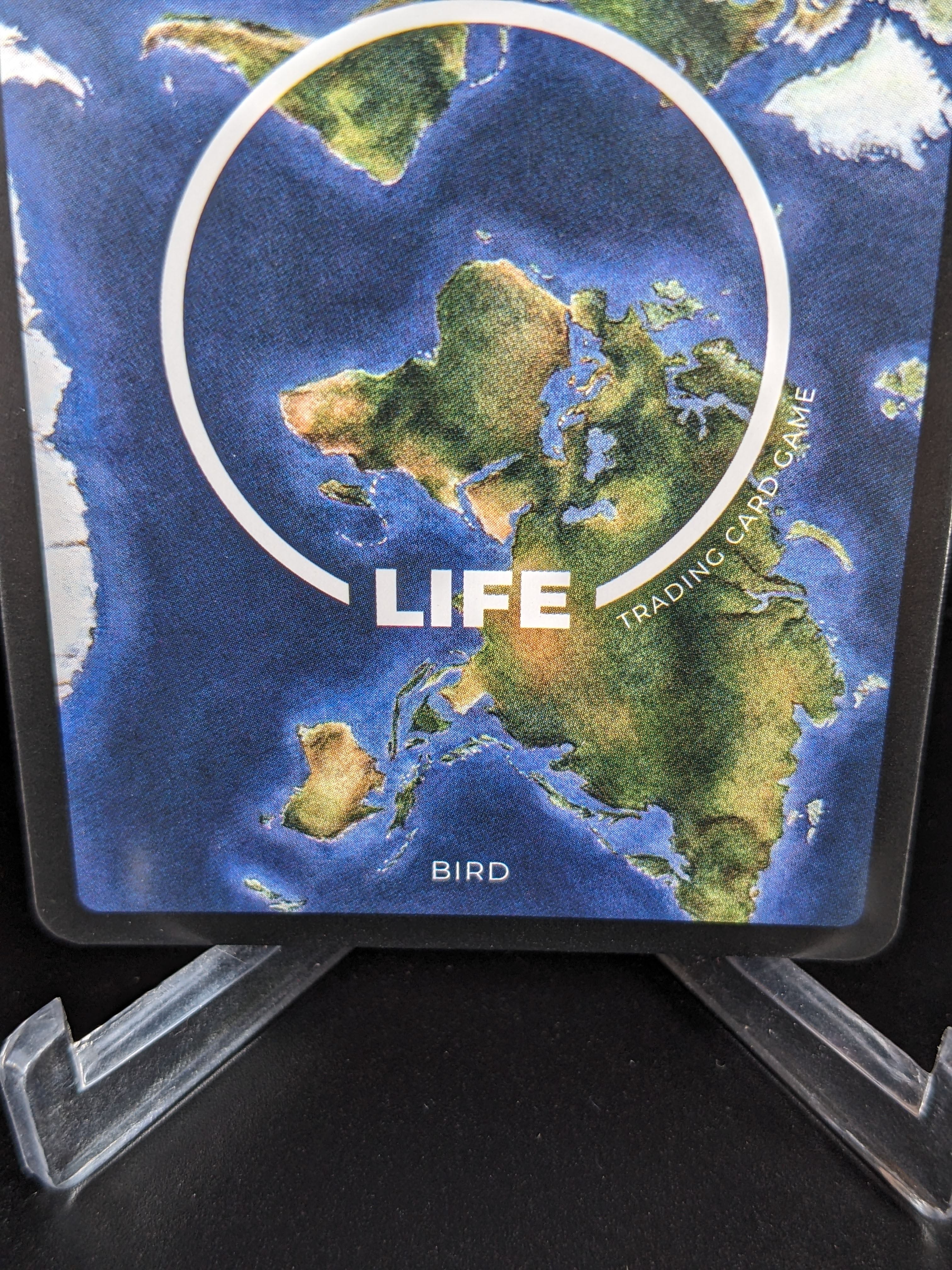 Northern Bald Ibis — Birds Holo #13/130 | LIFE TCG | 1st Edition (Pop: 250)