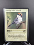 Antioquia Brushfinch — Birds Holo #14/130 | LIFE TCG | 1st Edition (Pop: 400)