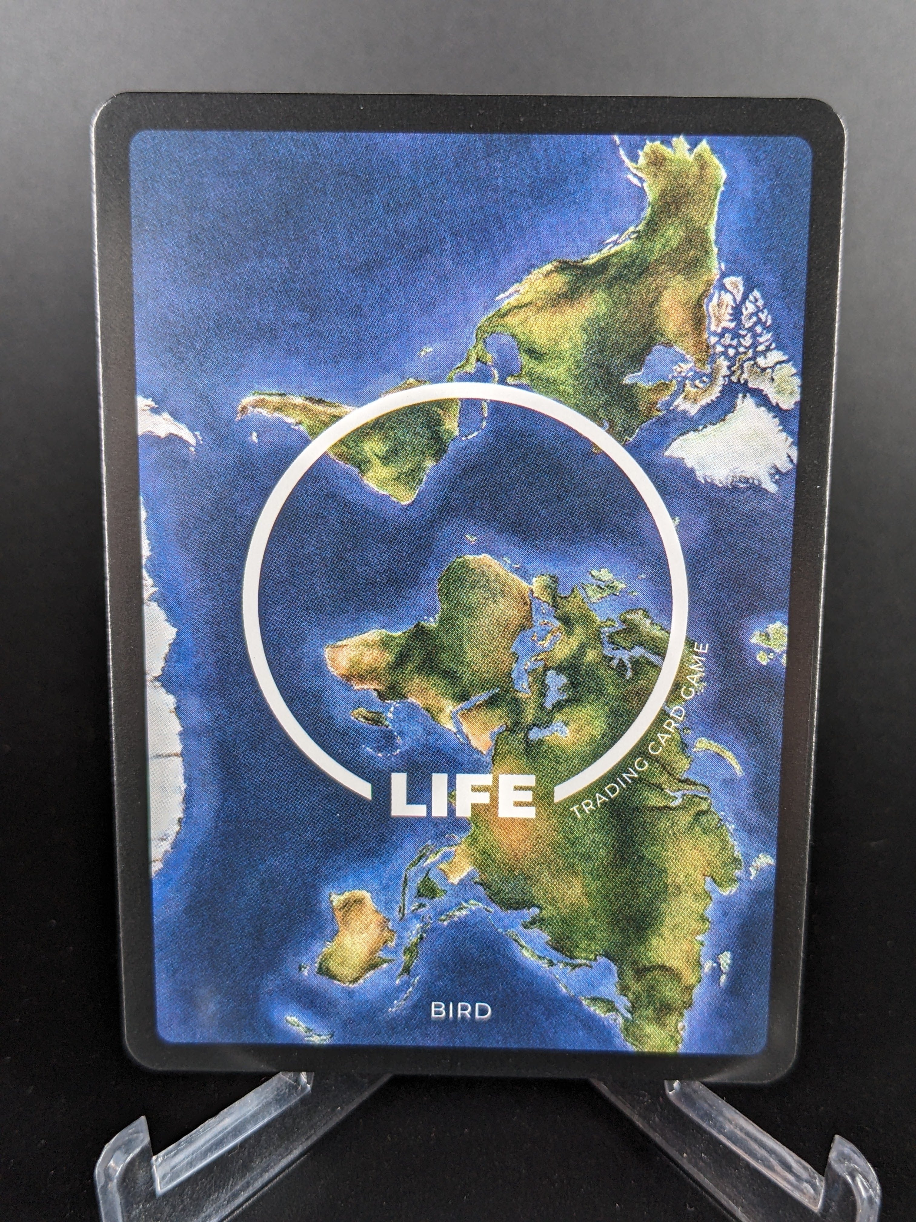 Antioquia Brushfinch — Birds Holo #14/130 | LIFE TCG | 1st Edition (Pop: 400)