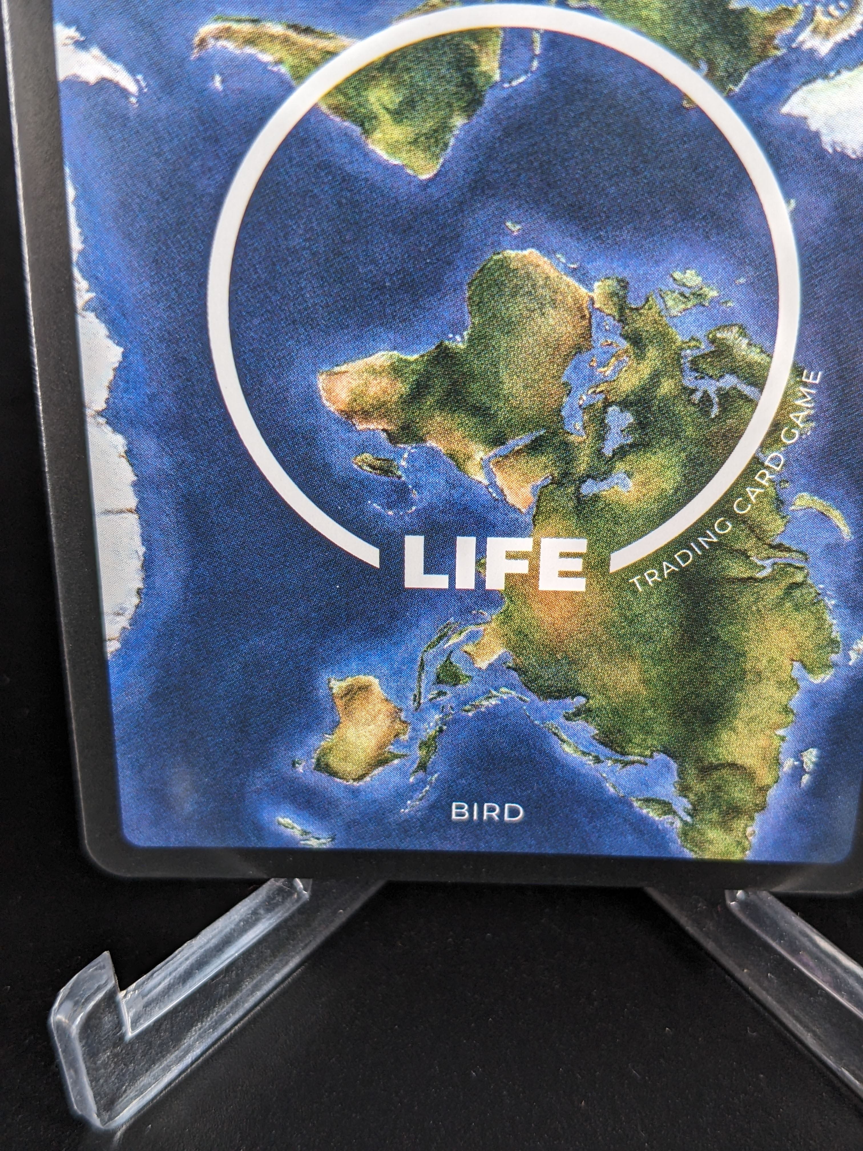 Antioquia Brushfinch — Birds Holo #14/130 | LIFE TCG | 1st Edition (Pop: 400)