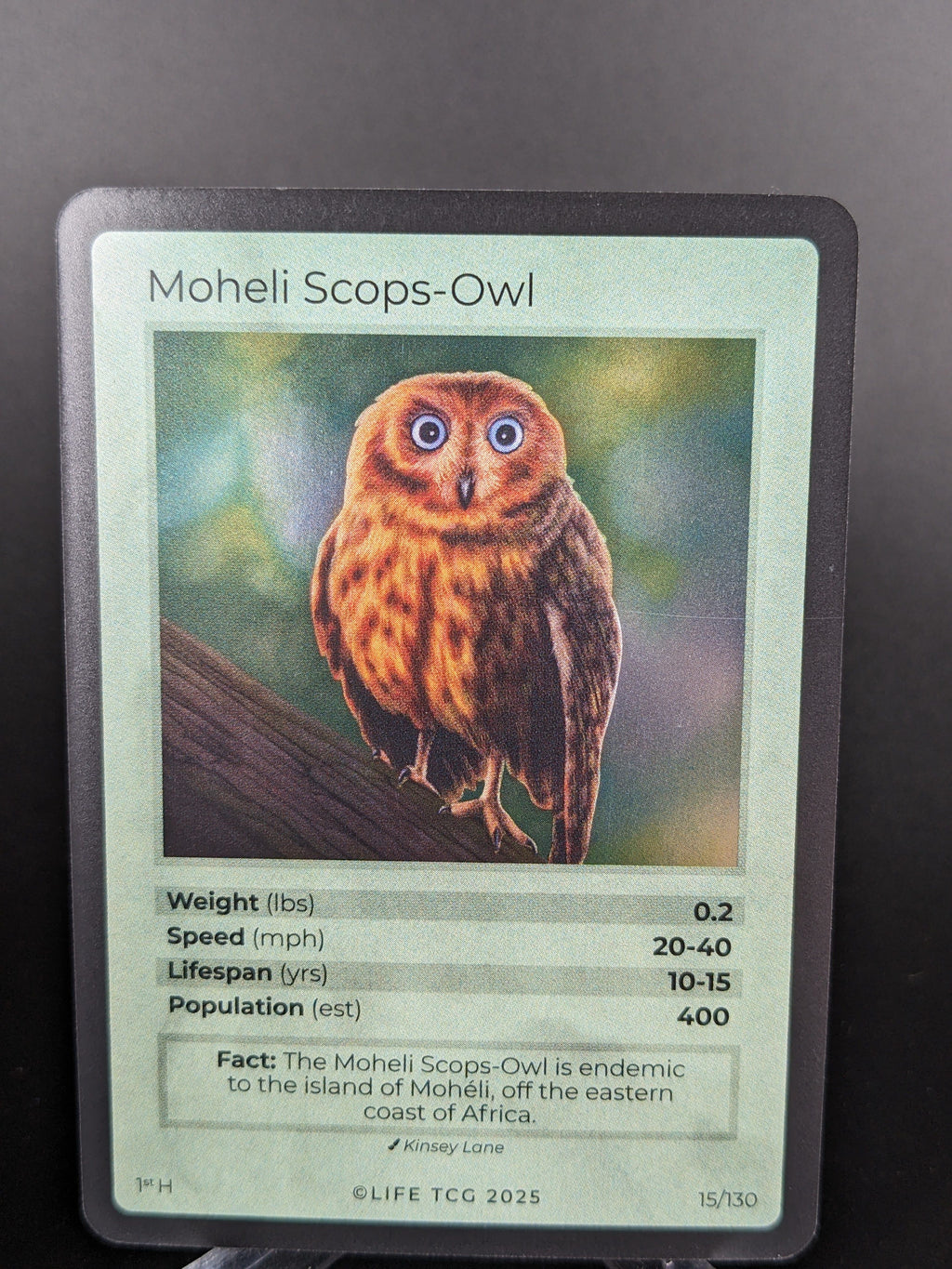 Moheli Scops-Owl — Birds Holo #15/130 | LIFE TCG | 1st Edition (Pop: 400)