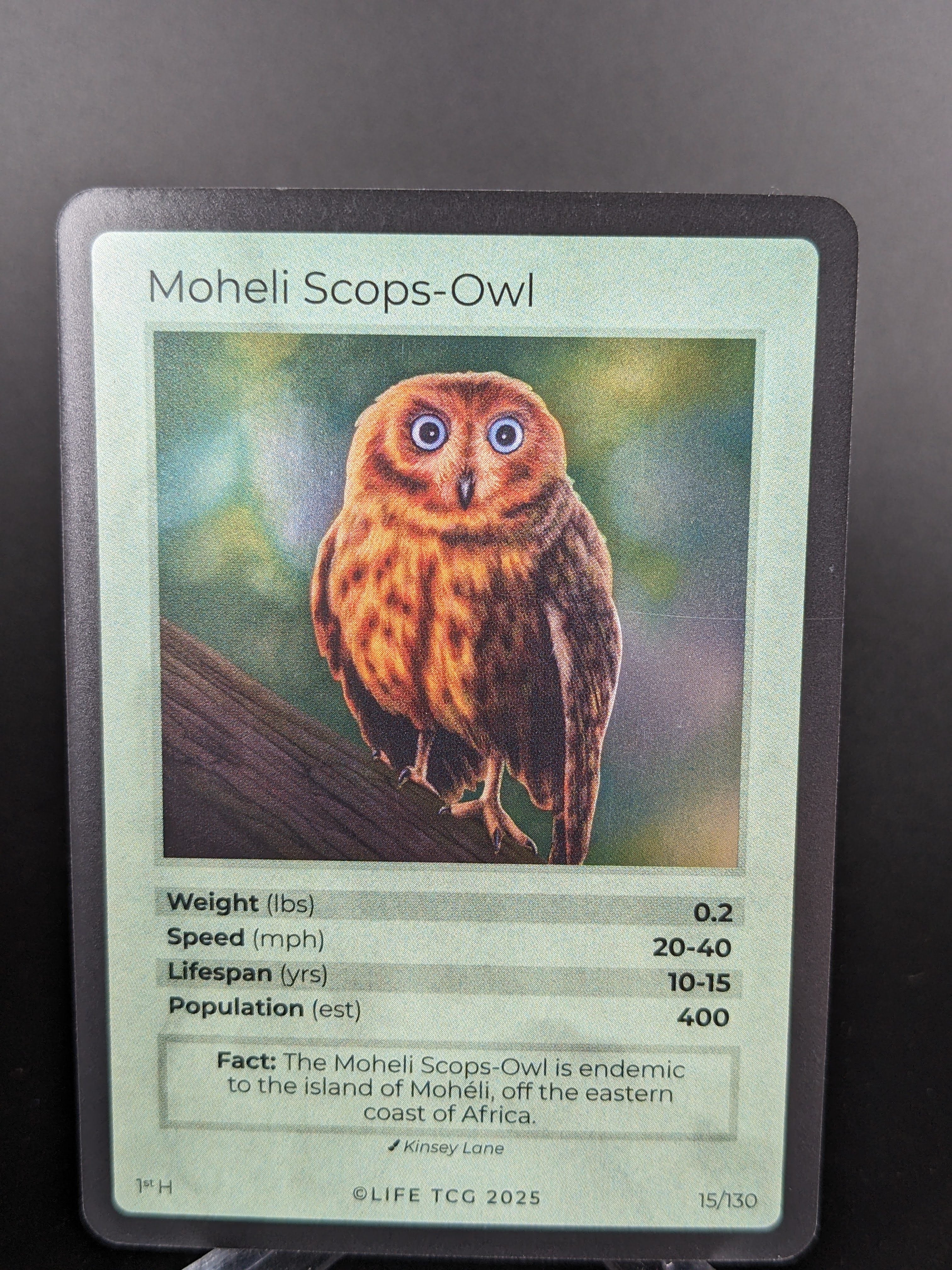 Moheli Scops-Owl — Birds Holo #15/130 | LIFE TCG | 1st Edition (Pop: 400)