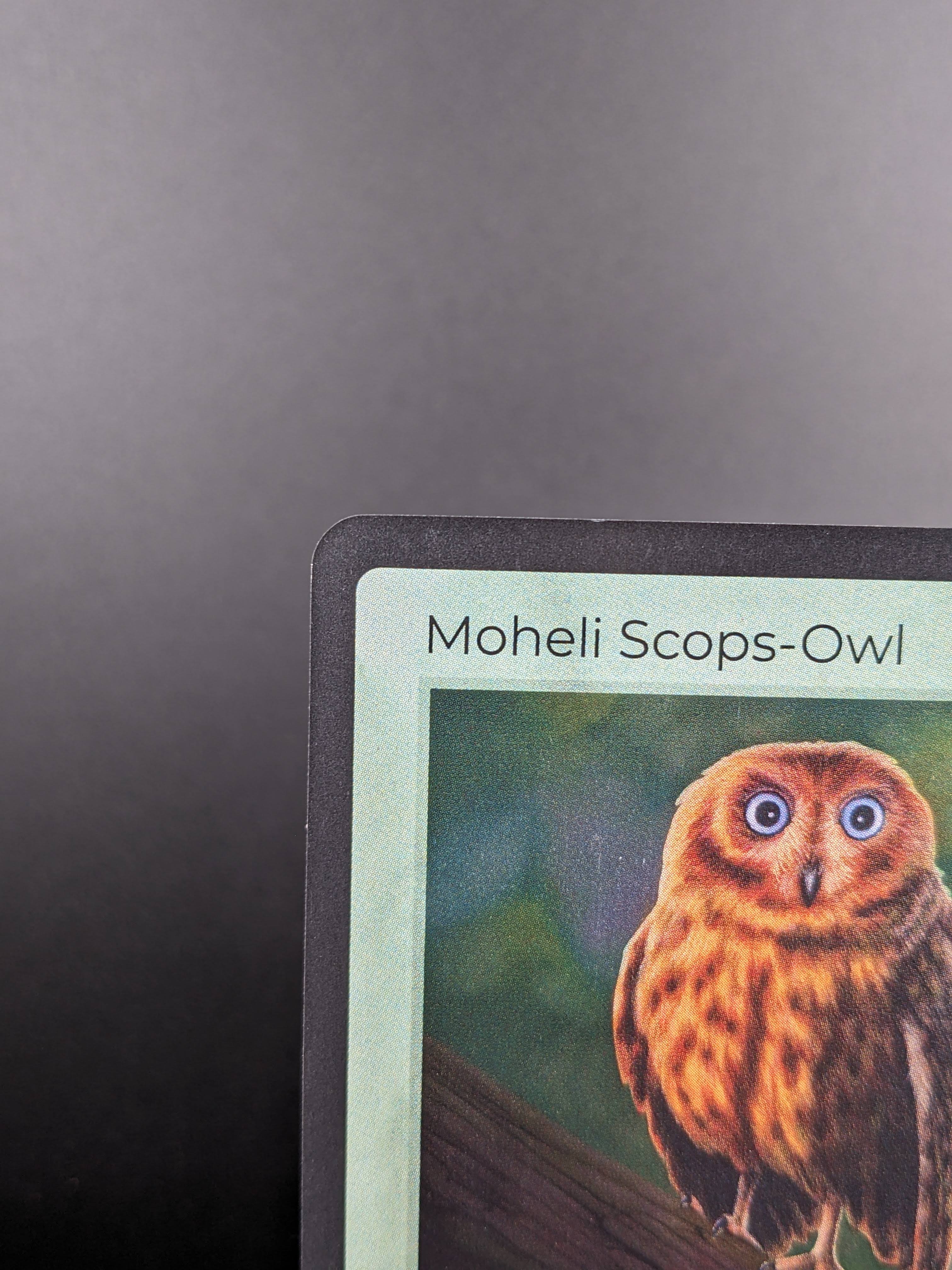 Moheli Scops-Owl — Birds Holo #15/130 | LIFE TCG | 1st Edition (Pop: 400)