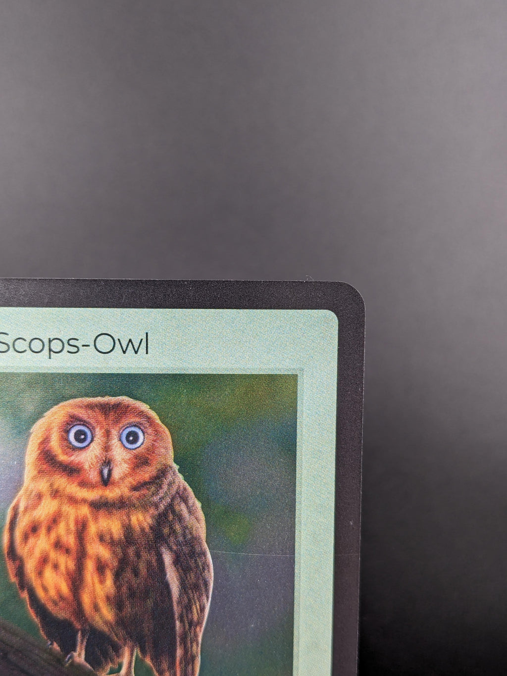 Moheli Scops-Owl — Birds Holo #15/130 | LIFE TCG | 1st Edition (Pop: 400)