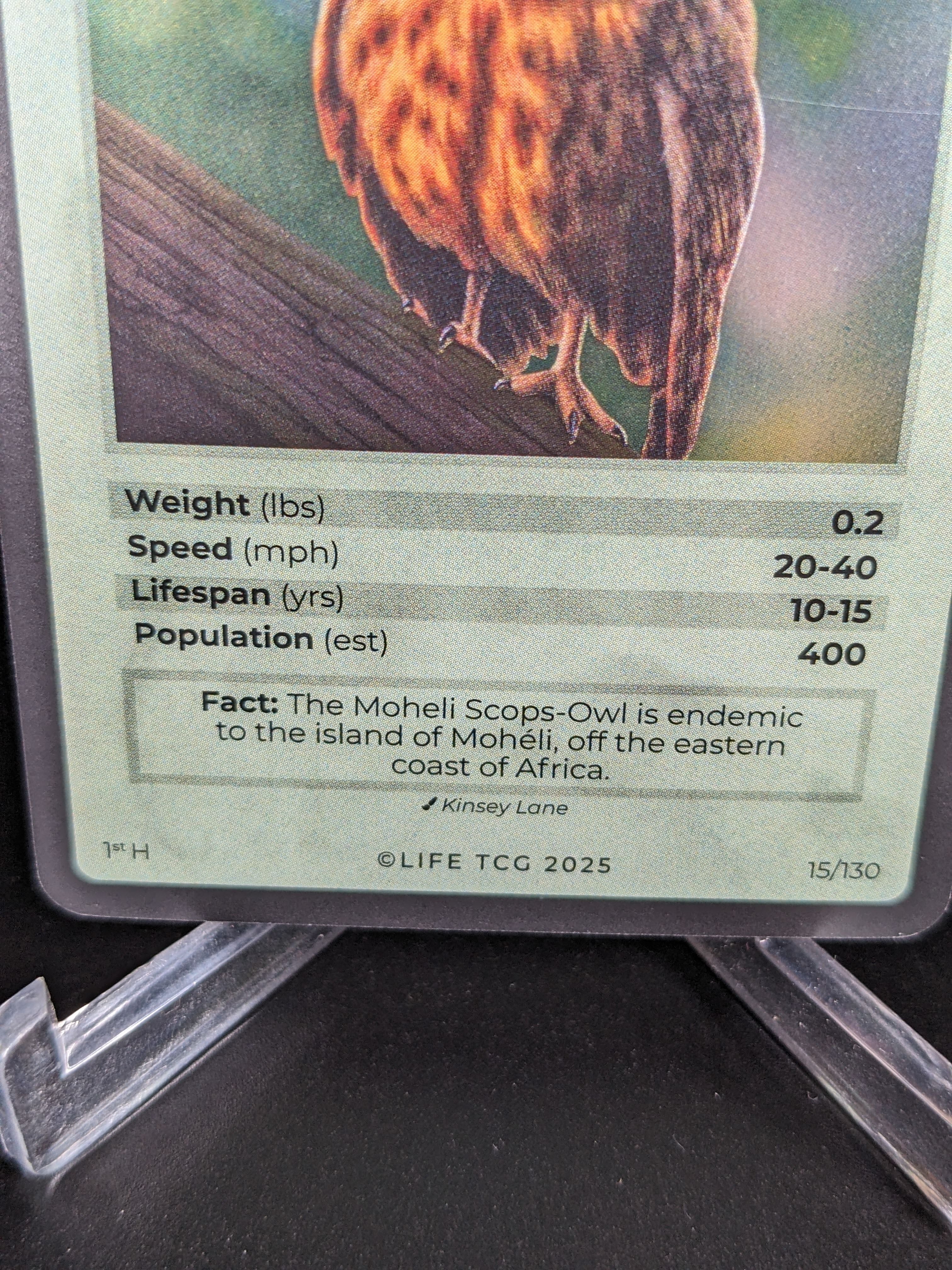 Moheli Scops-Owl — Birds Holo #15/130 | LIFE TCG | 1st Edition (Pop: 400)