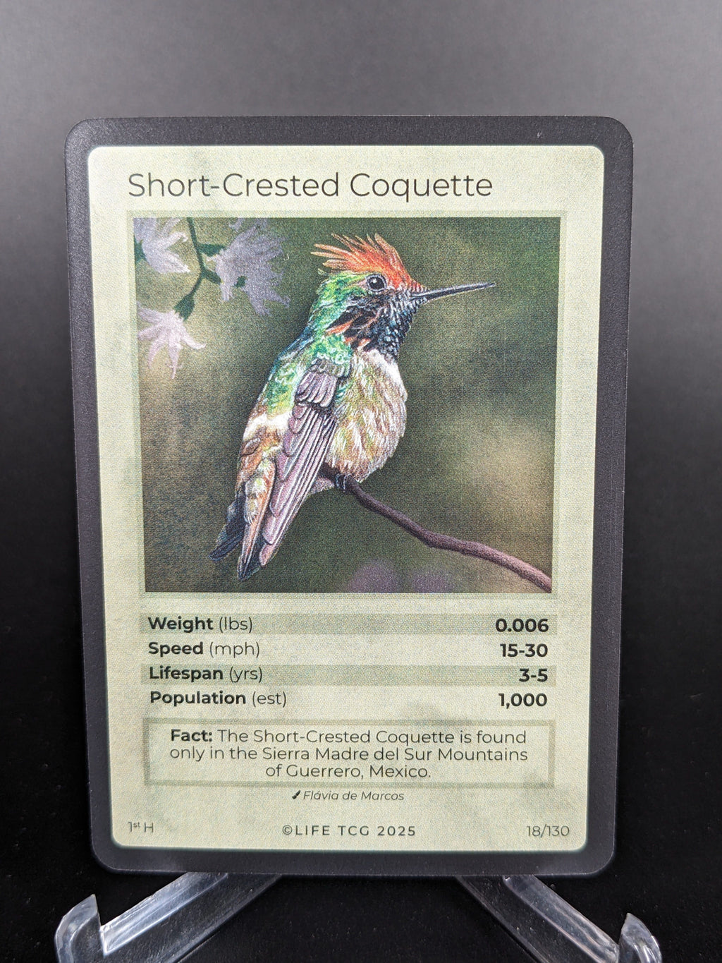 Short-Crested Coquette — Birds Holo #18/130 | LIFE TCG | 1st Edition (Pop: 1,000)