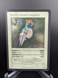 Short-Crested Coquette — Birds Holo #18/130 | LIFE TCG | 1st Edition (Pop: 1,000)