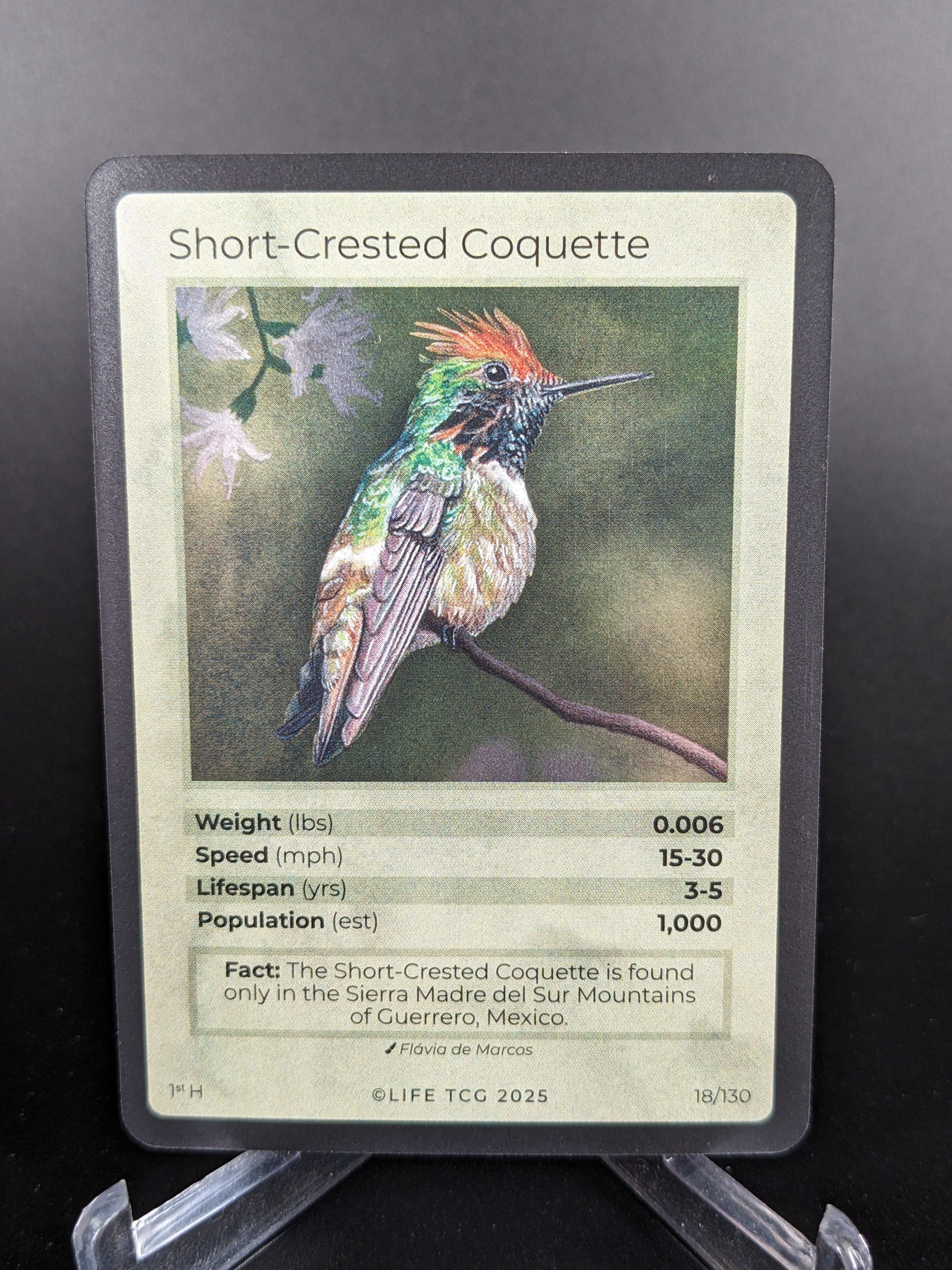Short-Crested Coquette — Birds Holo #18/130 | LIFE TCG | 1st Edition (Pop: 1,000)