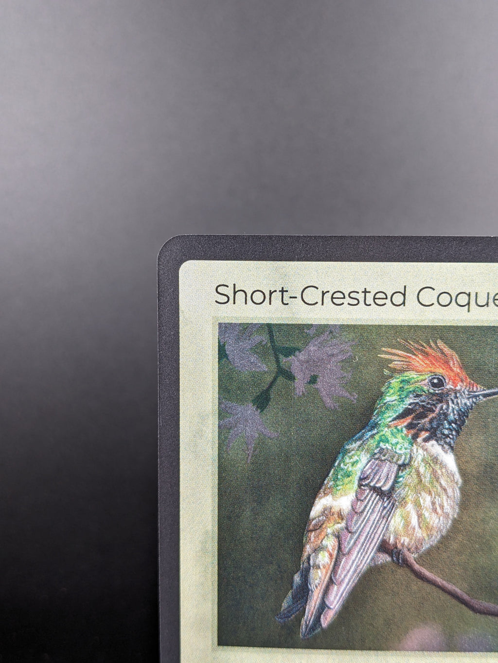 Short-Crested Coquette — Birds Holo #18/130 | LIFE TCG | 1st Edition (Pop: 1,000)