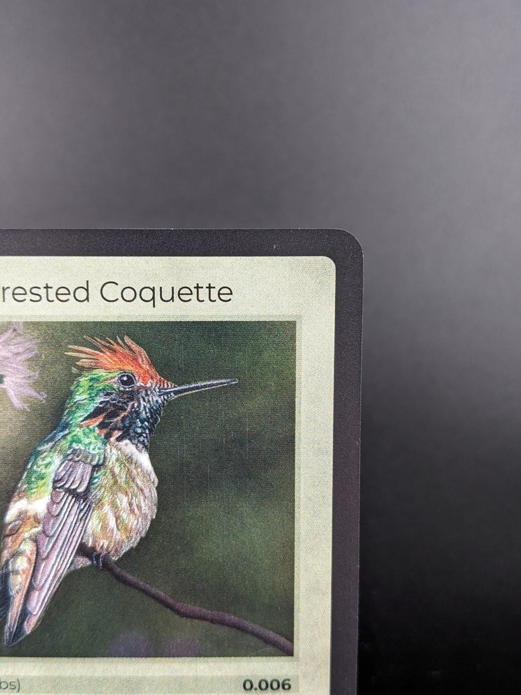 Short-Crested Coquette — Birds Holo #18/130 | LIFE TCG | 1st Edition (Pop: 1,000)