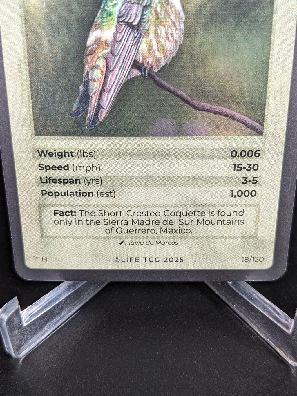 Short-Crested Coquette — Birds Holo #18/130 | LIFE TCG | 1st Edition (Pop: 1,000)