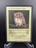 Long-Whiskered Owlet — Birds Holo #20/130 | LIFE TCG | 1st Edition (Pop: 1,000)