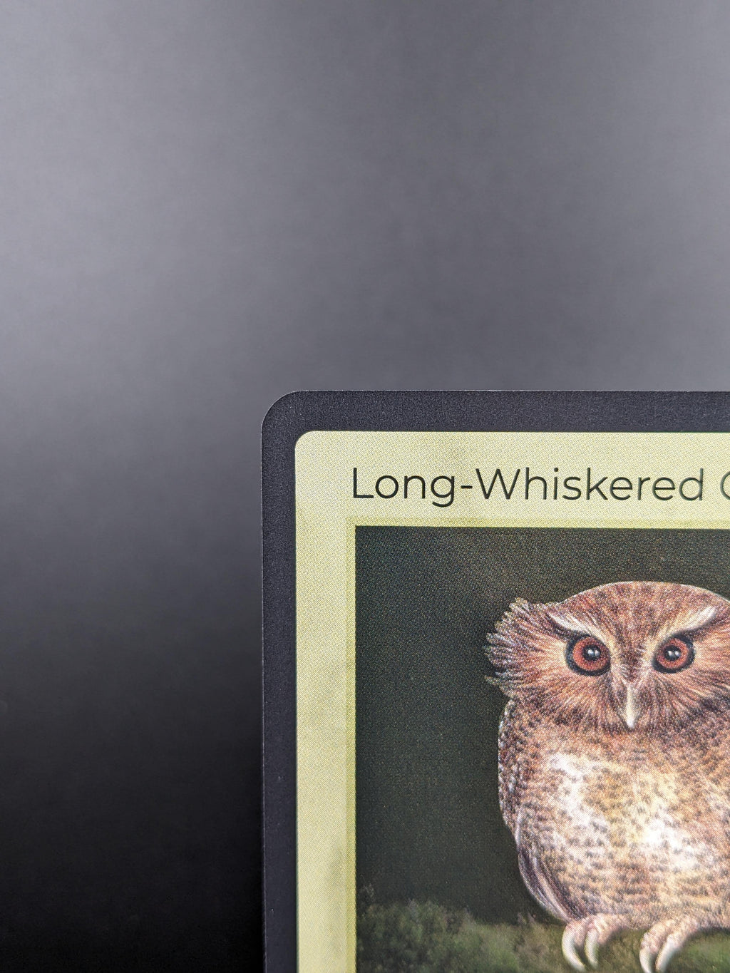 Long-Whiskered Owlet — Birds Holo #20/130 | LIFE TCG | 1st Edition (Pop: 1,000)