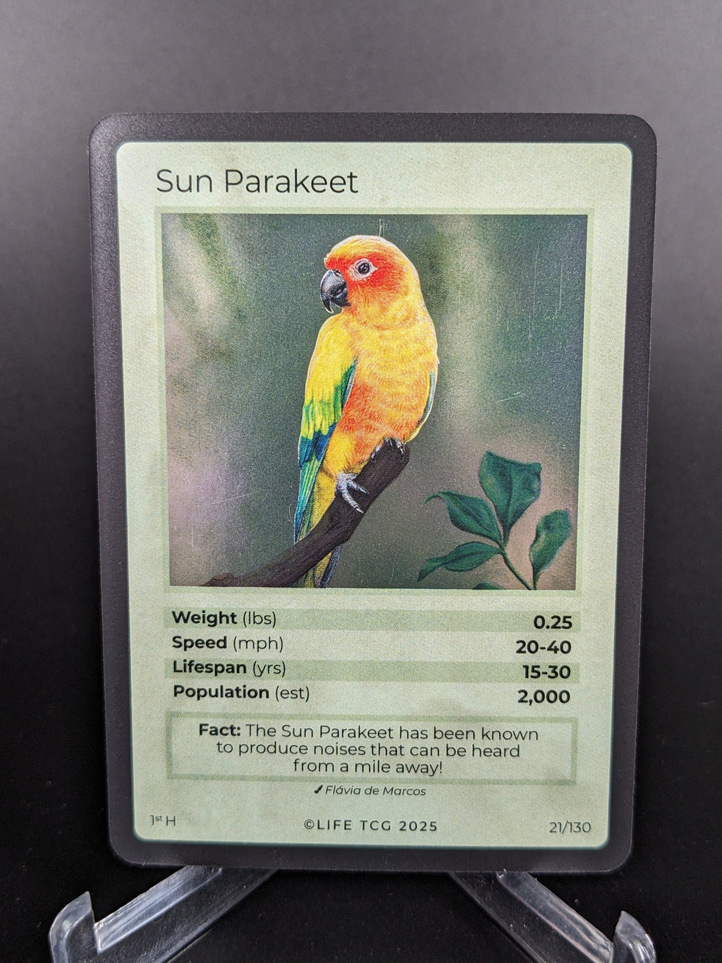 Sun Parakeet — Birds Holo #21/130 | LIFE TCG | 1st Edition (Pop: 2,000)