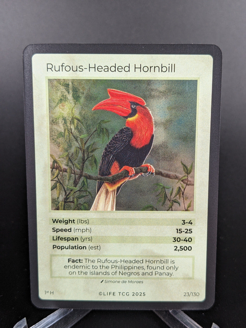 Rufous-Headed Hornbill — Birds Holo #23/130 | LIFE TCG | 1st Edition (Pop: 2,500)