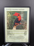 Rufous-Headed Hornbill — Birds Holo #23/130 | LIFE TCG | 1st Edition (Pop: 2,500)