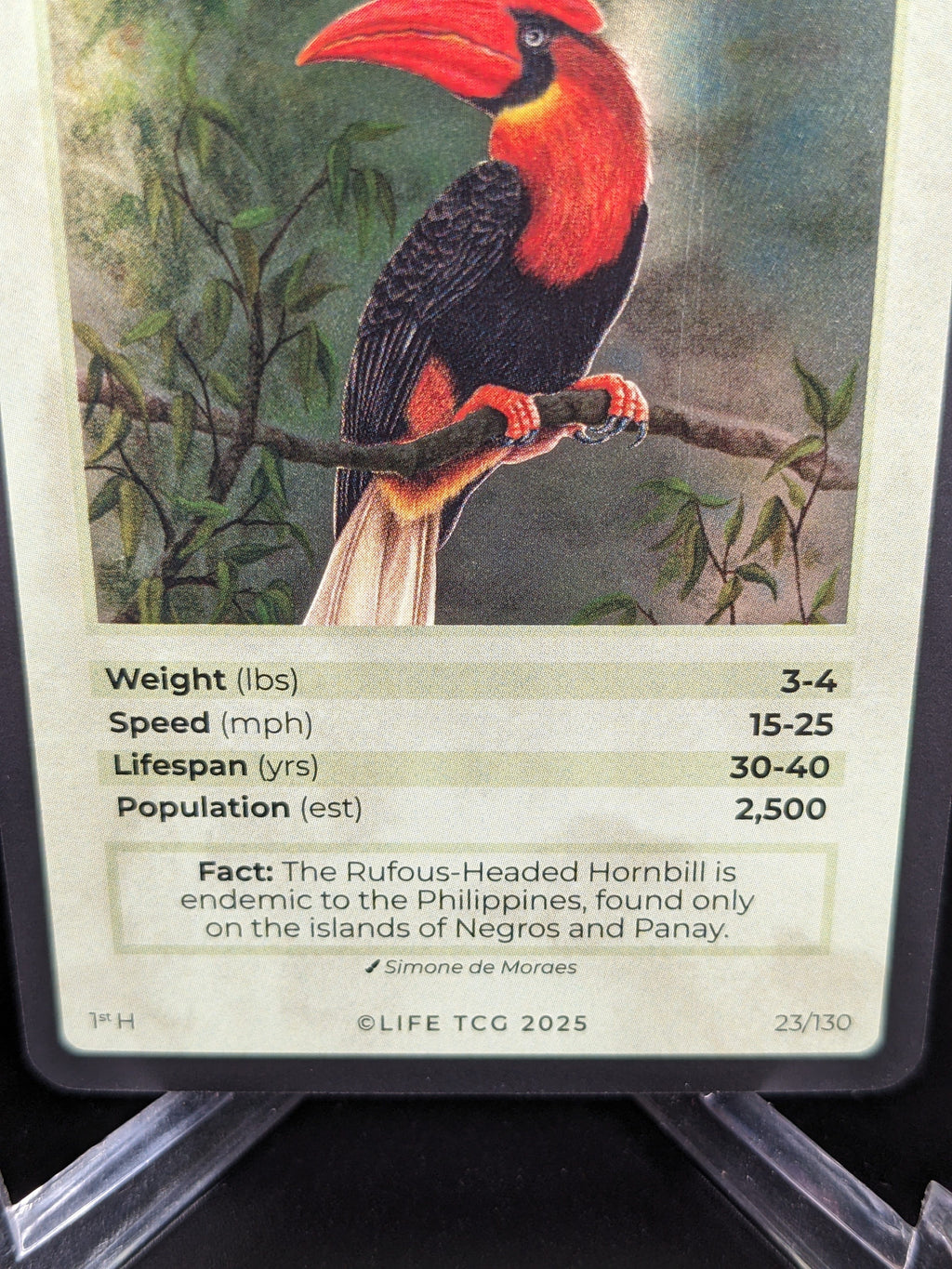 Rufous-Headed Hornbill — Birds Holo #23/130 | LIFE TCG | 1st Edition (Pop: 2,500)