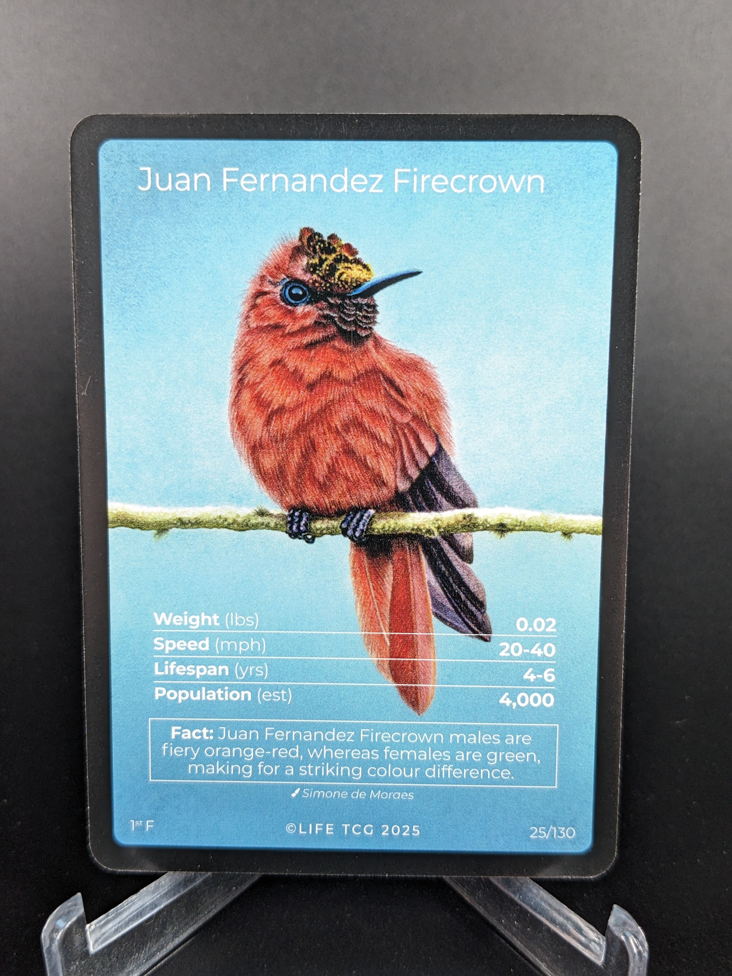 Juan Fernandez Firecrown — Birds Full Art #25/130 | LIFE TCG | 1st Edition (Pop: 400)