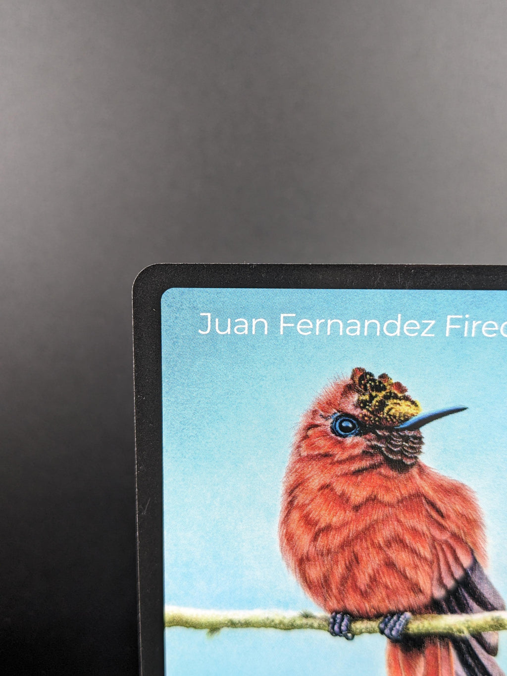 Juan Fernandez Firecrown — Birds Full Art #25/130 | LIFE TCG | 1st Edition (Pop: 400)