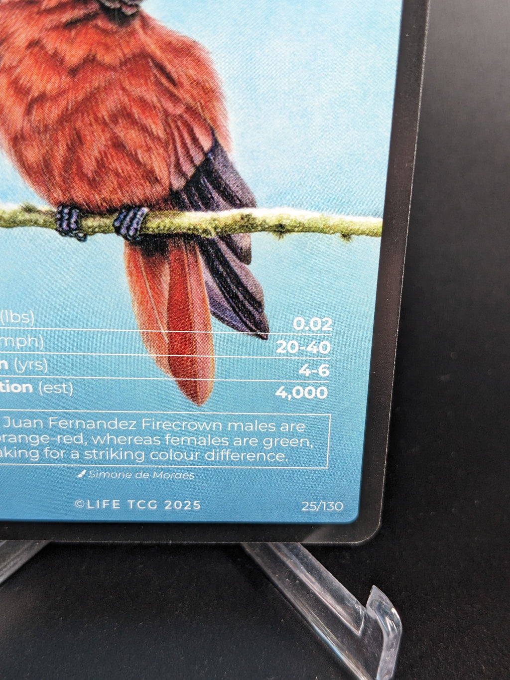 Juan Fernandez Firecrown — Birds Full Art #25/130 | LIFE TCG | 1st Edition (Pop: 400)