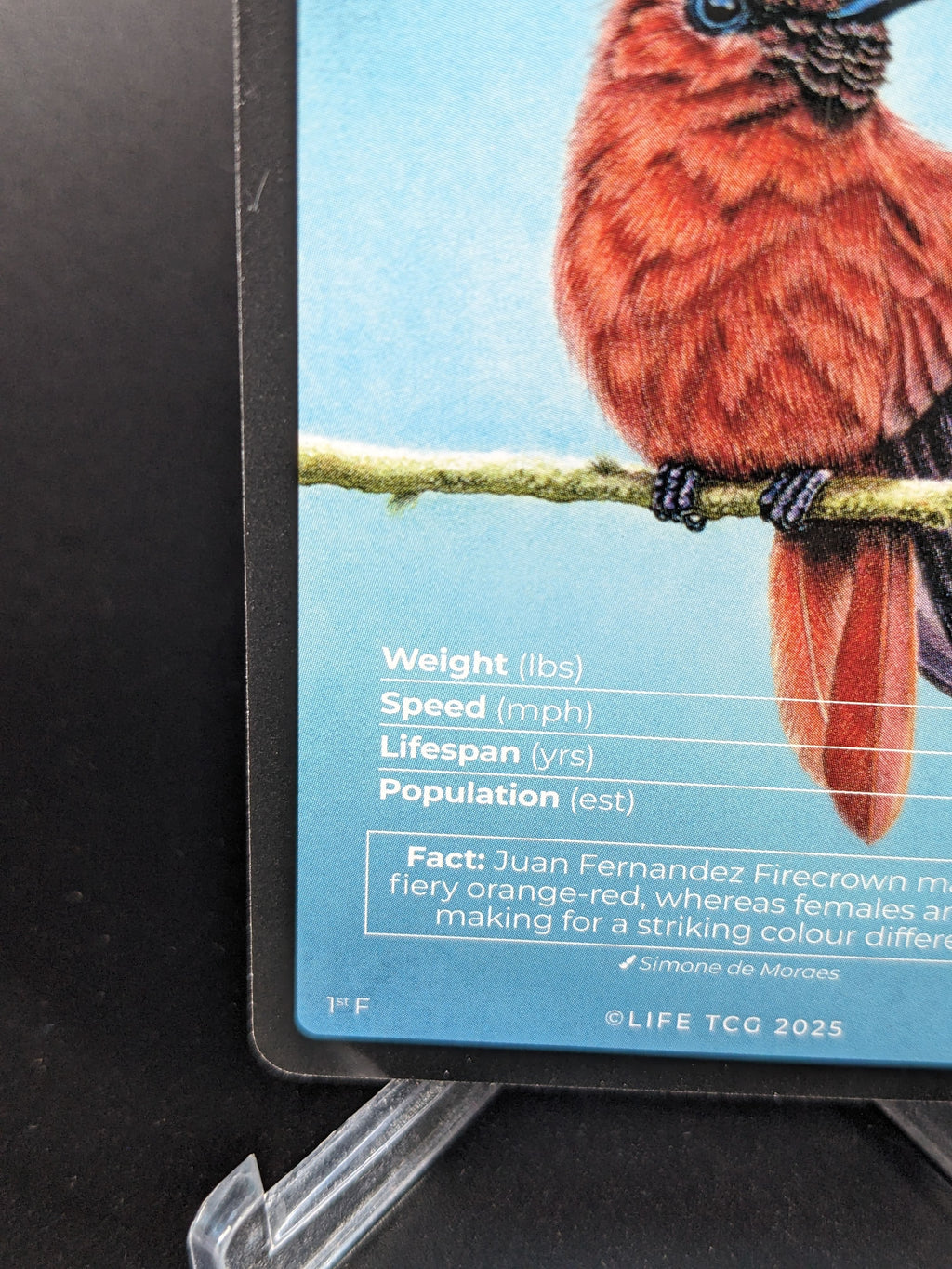 Juan Fernandez Firecrown — Birds Full Art #25/130 | LIFE TCG | 1st Edition (Pop: 400)
