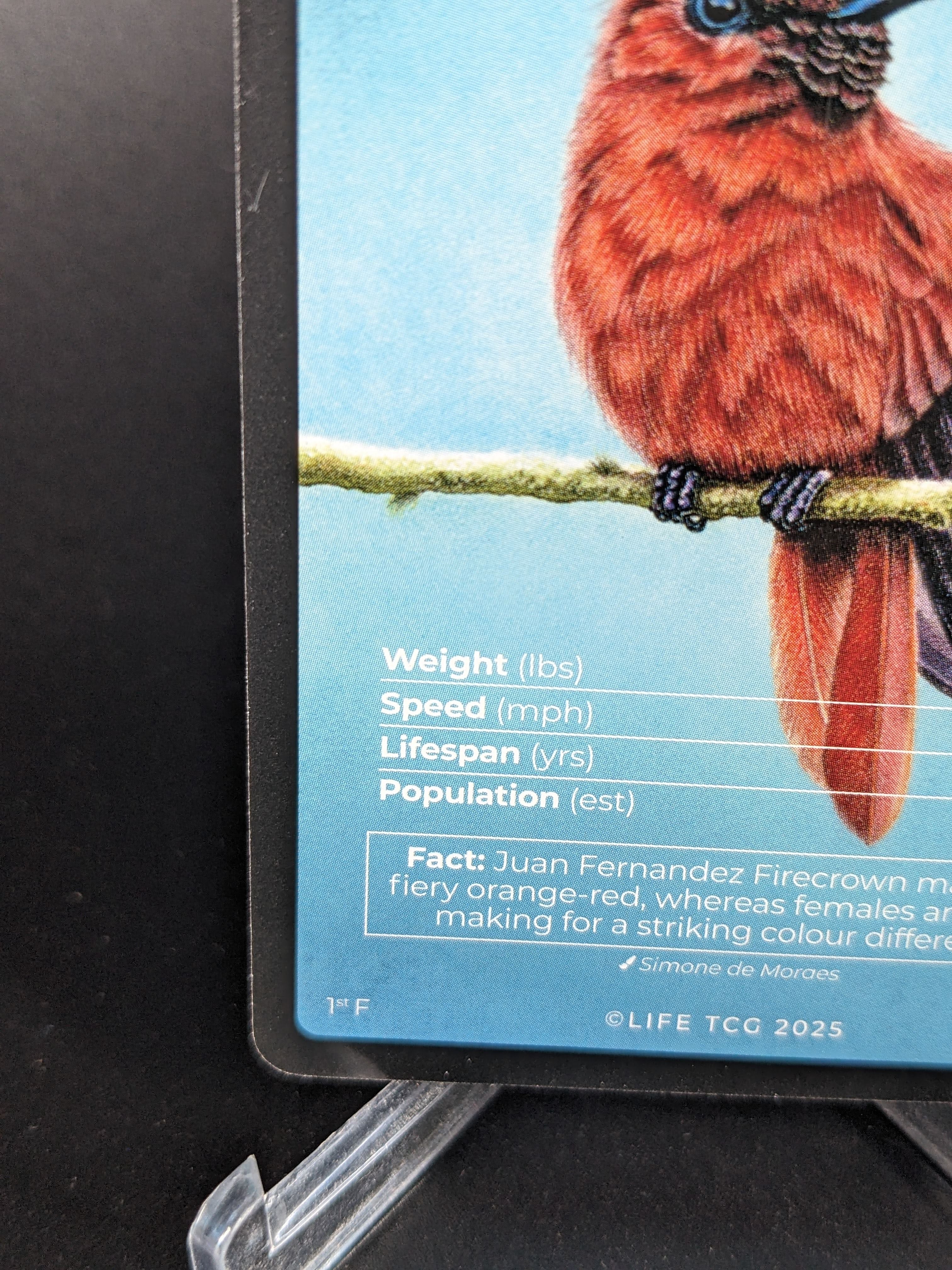 Juan Fernandez Firecrown — Birds Full Art #25/130 | LIFE TCG | 1st Edition (Pop: 400)