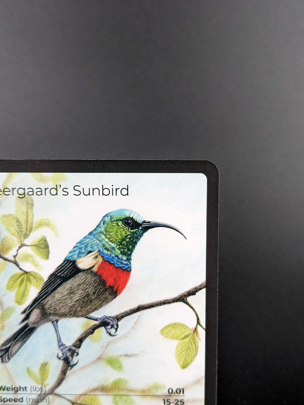 Neergaard's Sunbird — Birds Full Art #31/130 | LIFE TCG | 1st Edition (Pop: 500)