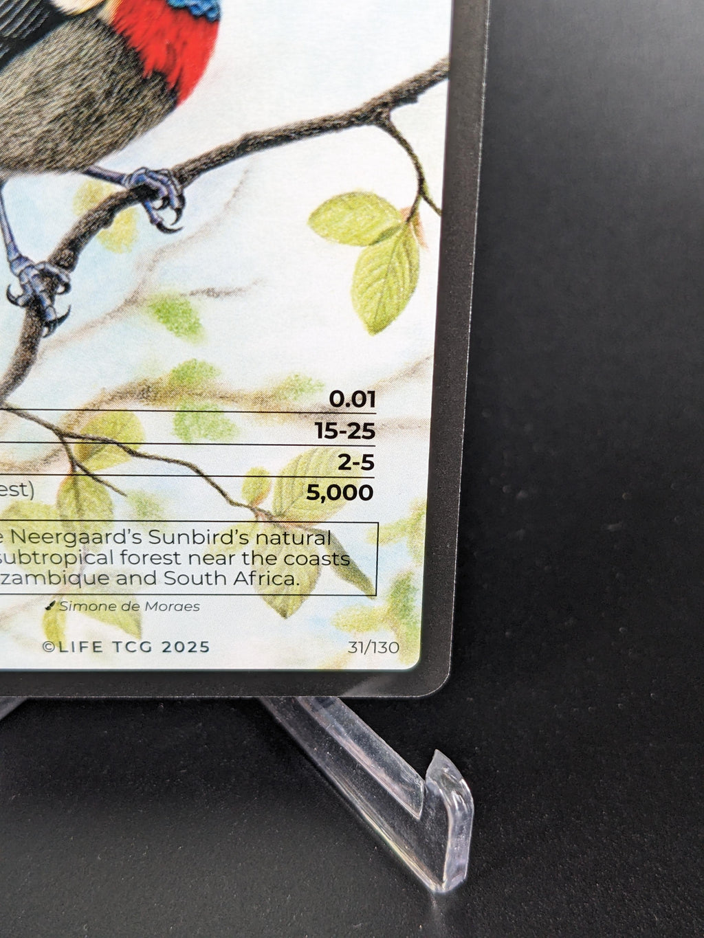 Neergaard's Sunbird — Birds Full Art #31/130 | LIFE TCG | 1st Edition (Pop: 500)