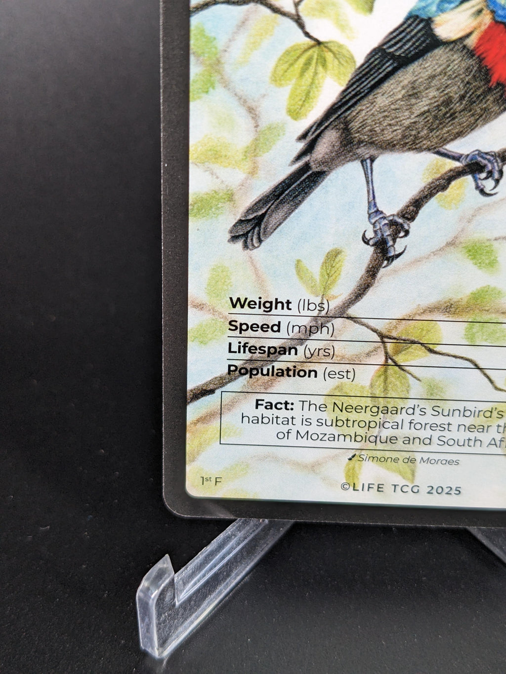 Neergaard's Sunbird — Birds Full Art #31/130 | LIFE TCG | 1st Edition (Pop: 500)