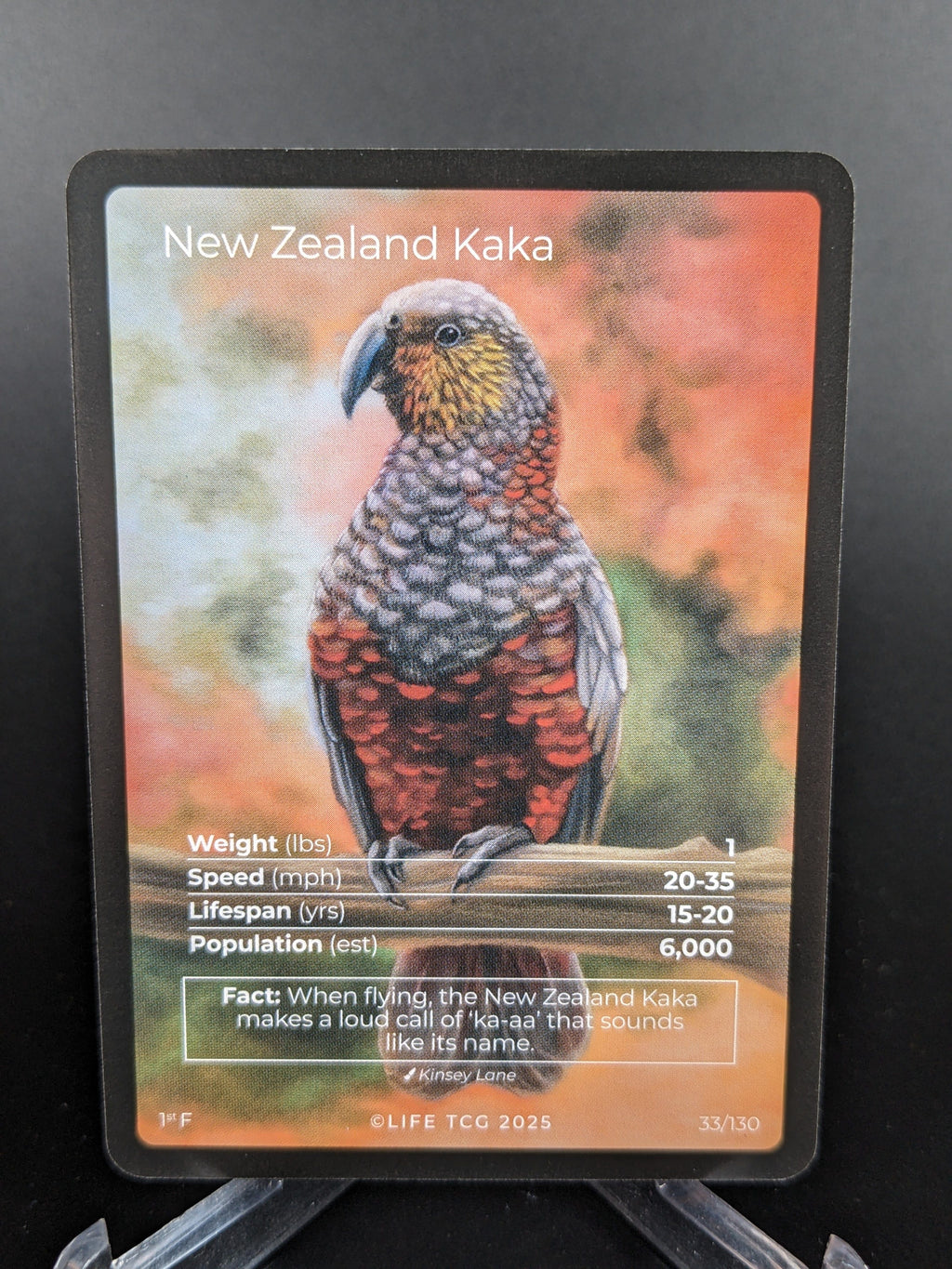 New Zealand Kaka — Birds Full Art #33/130 | LIFE TCG | 1st Edition (Pop: 600)